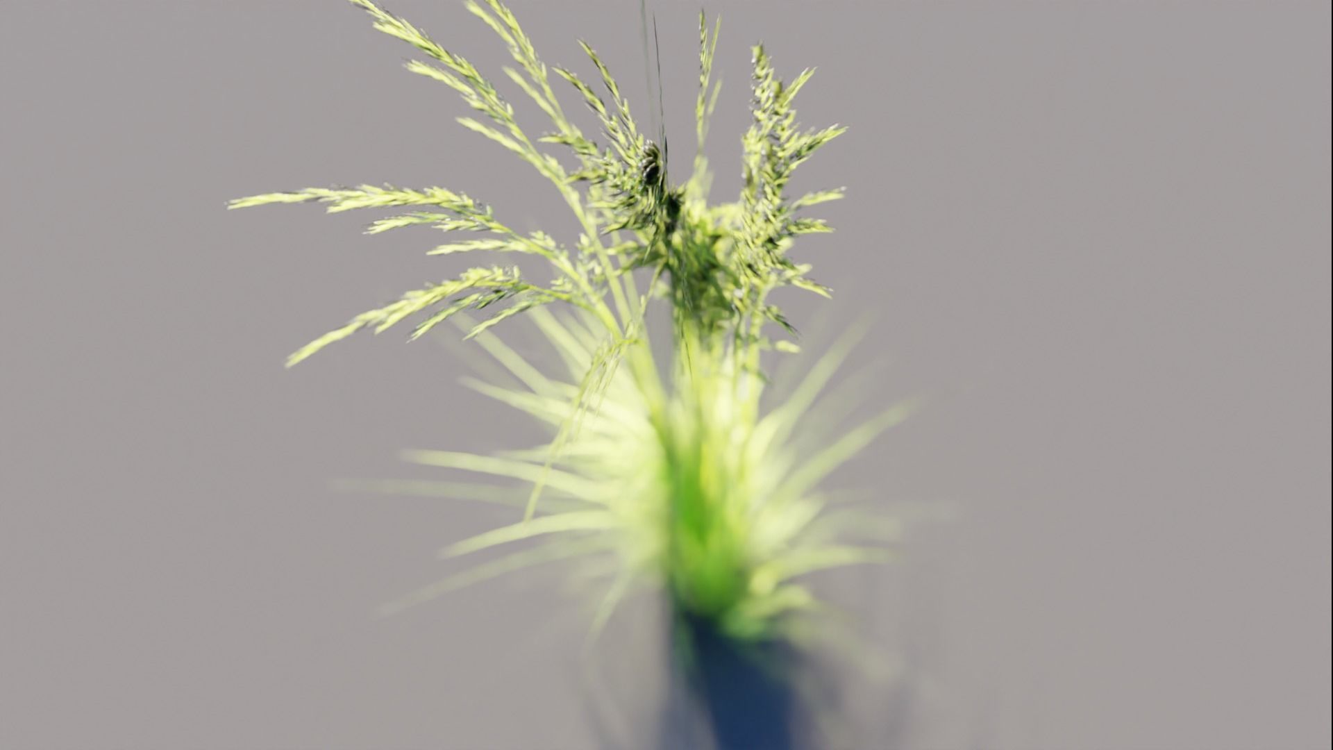 Low Poly Grass pack - 3D Model Low-poly 3D model_24