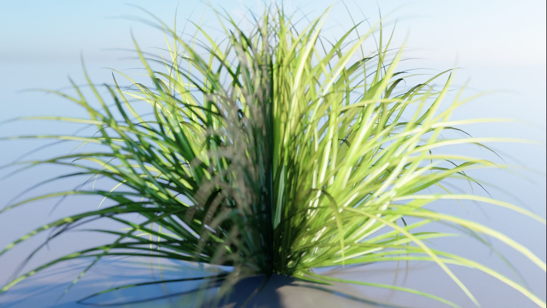 Low Poly Grass pack - 3D Model Low-poly 3D model_15