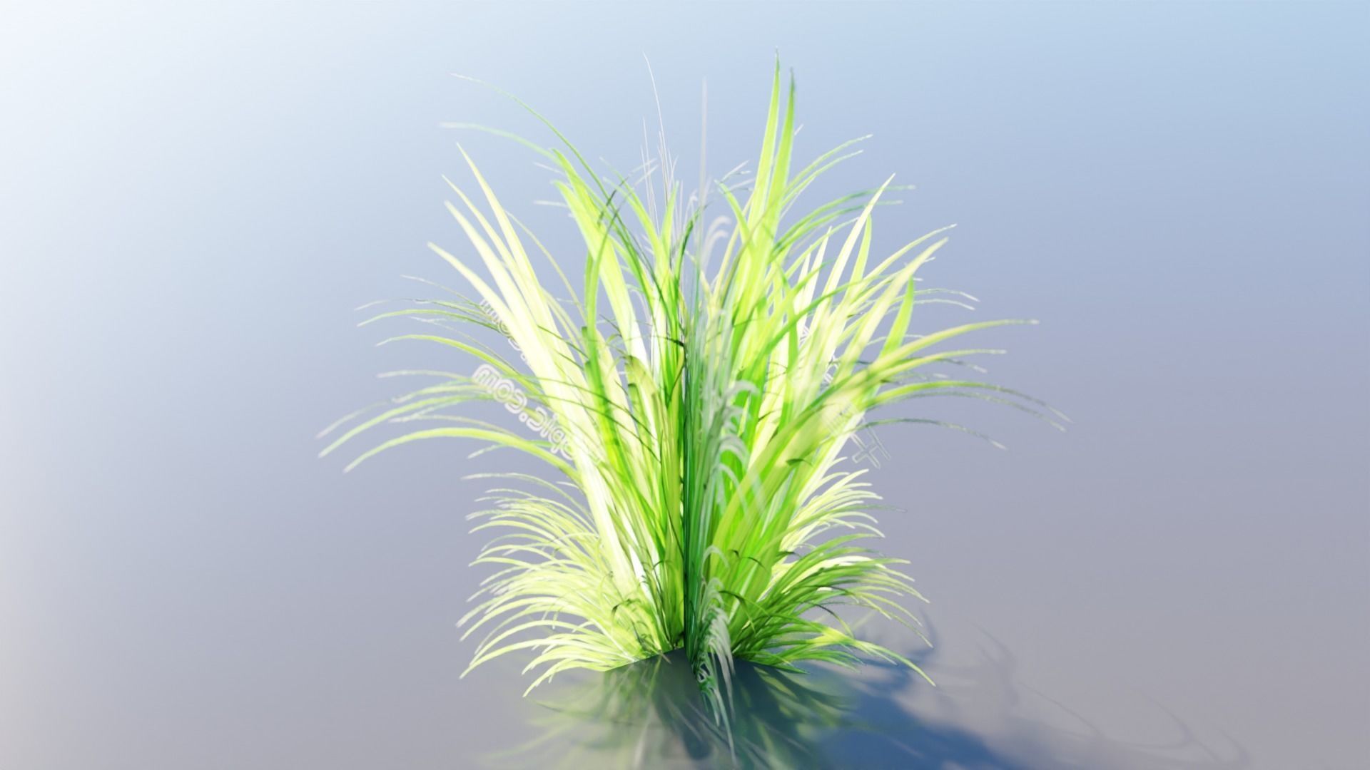 Low Poly Grass pack - 3D Model Low-poly 3D model_18