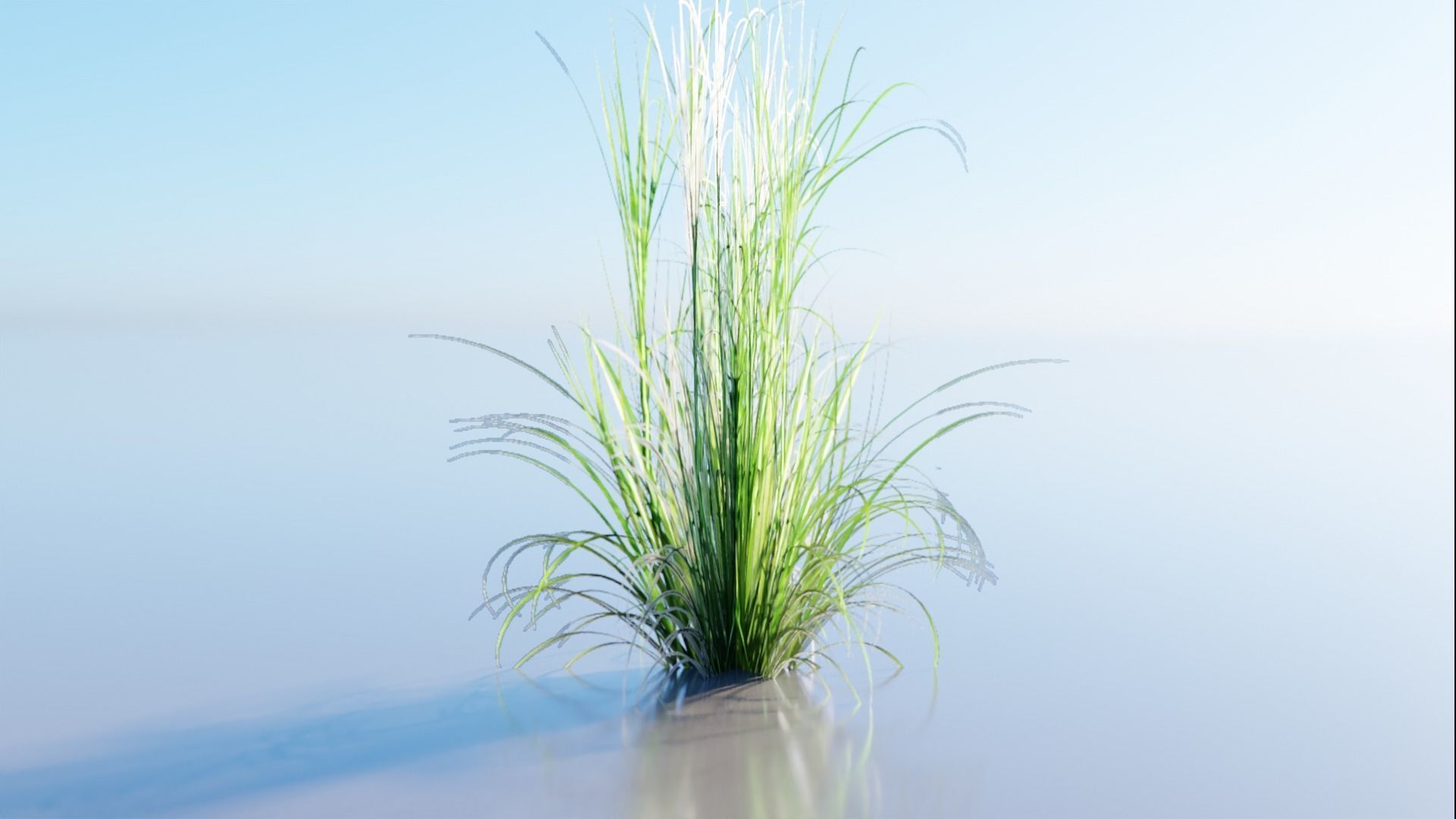 Low Poly Grass pack - 3D Model Low-poly 3D model_12