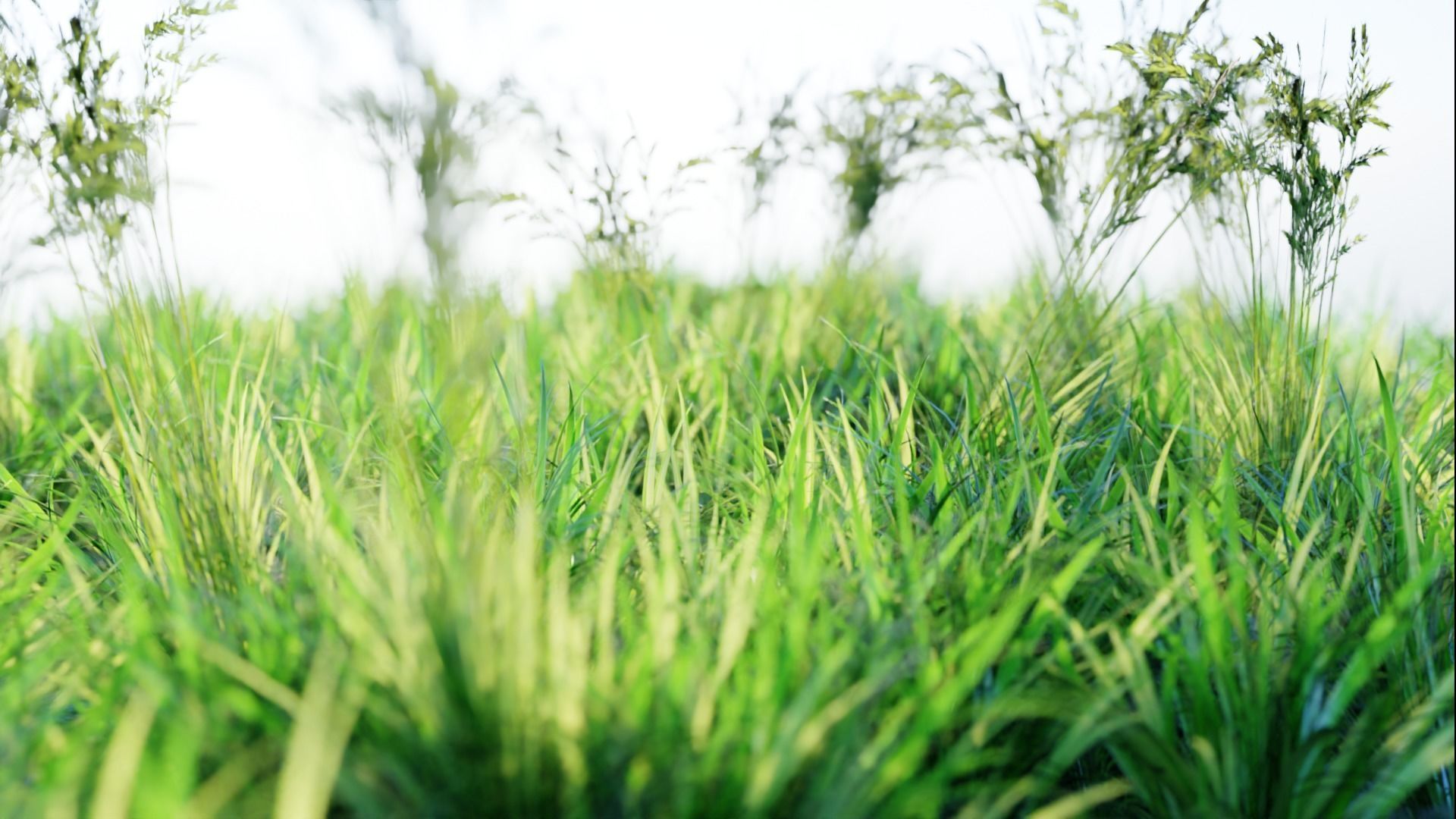 Low Poly Grass pack - 3D Model Low-poly 3D model_32