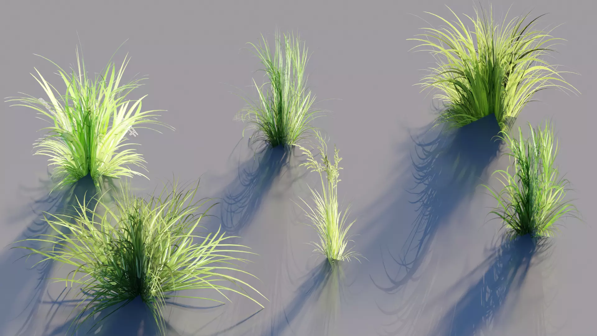 Low Poly Grass pack - 3D Model Low-poly 3D model_0