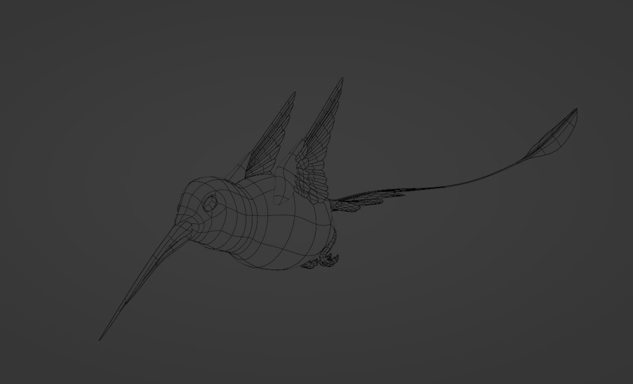 hummingbird 3D model_5