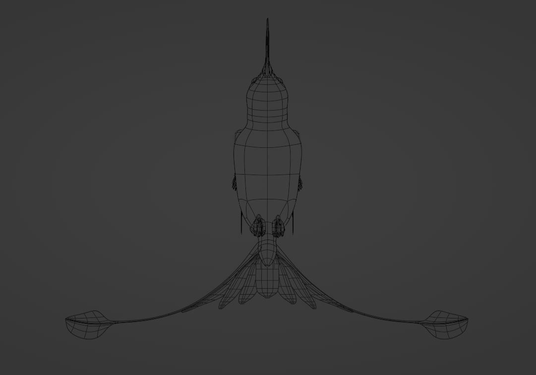 hummingbird 3D model_4