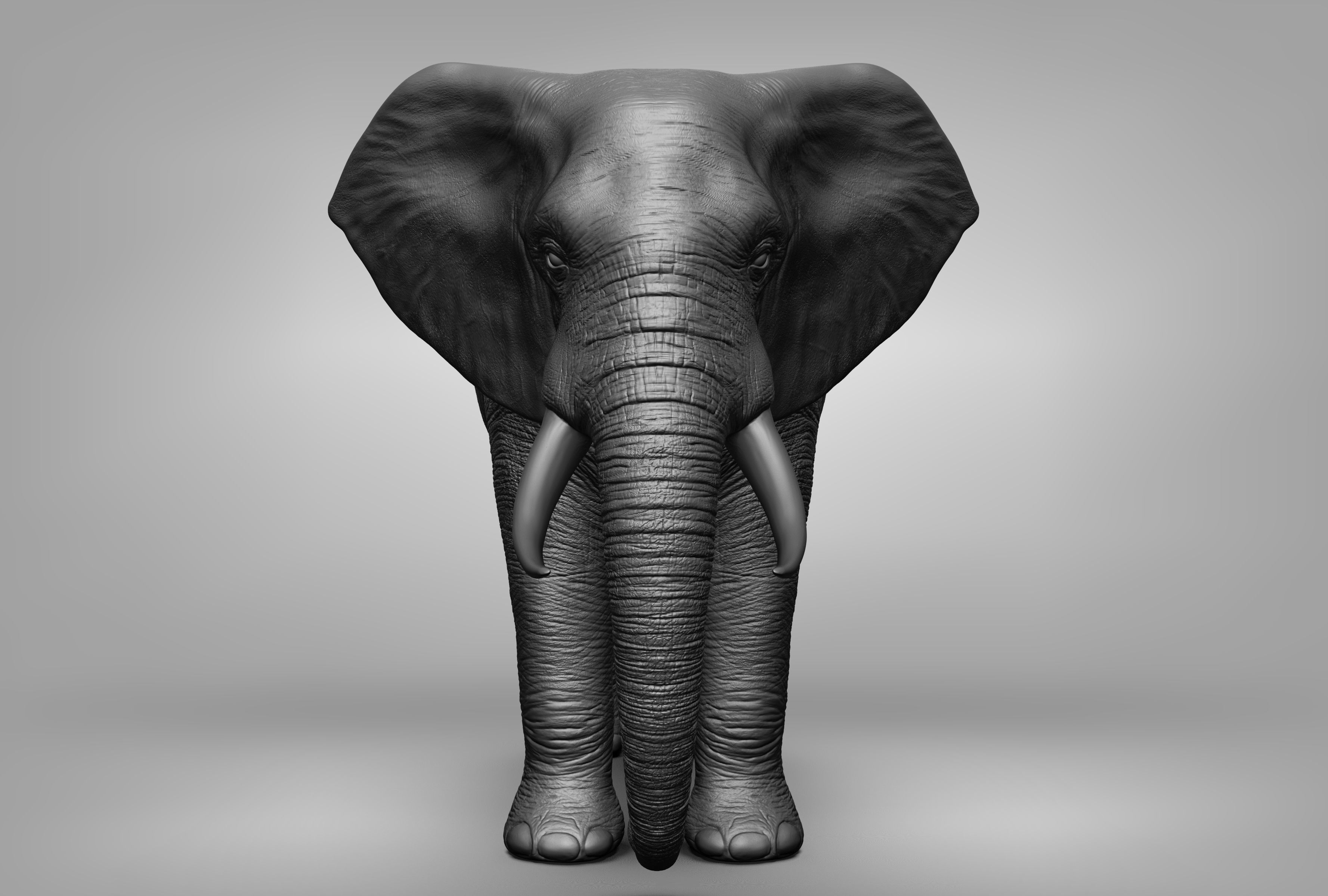 Wild animal collection 3D model_6