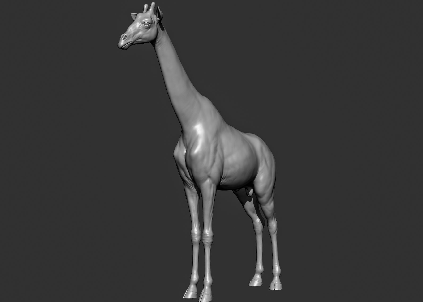 Wild animal collection 3D model_58
