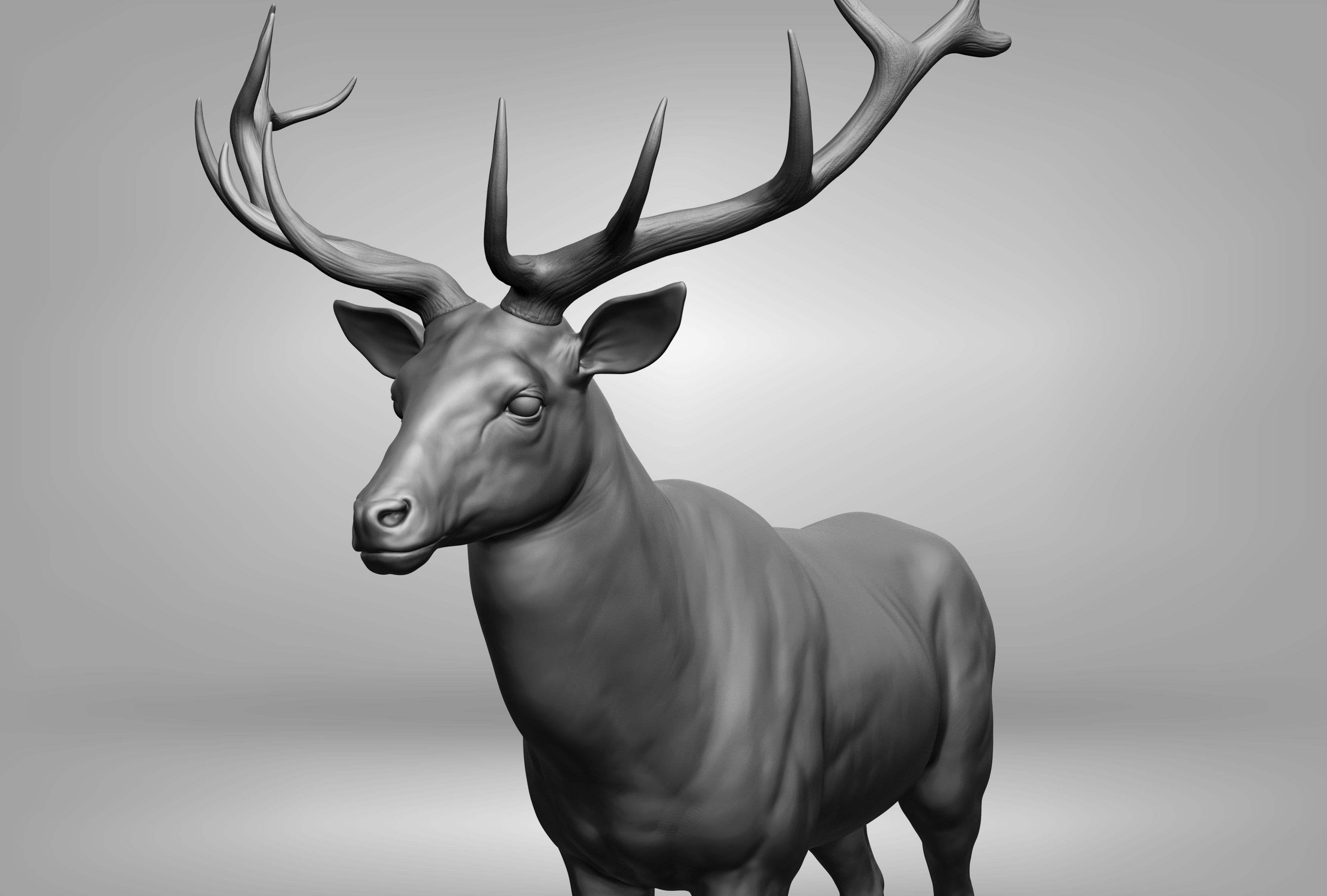 Wild animal collection 3D model_129