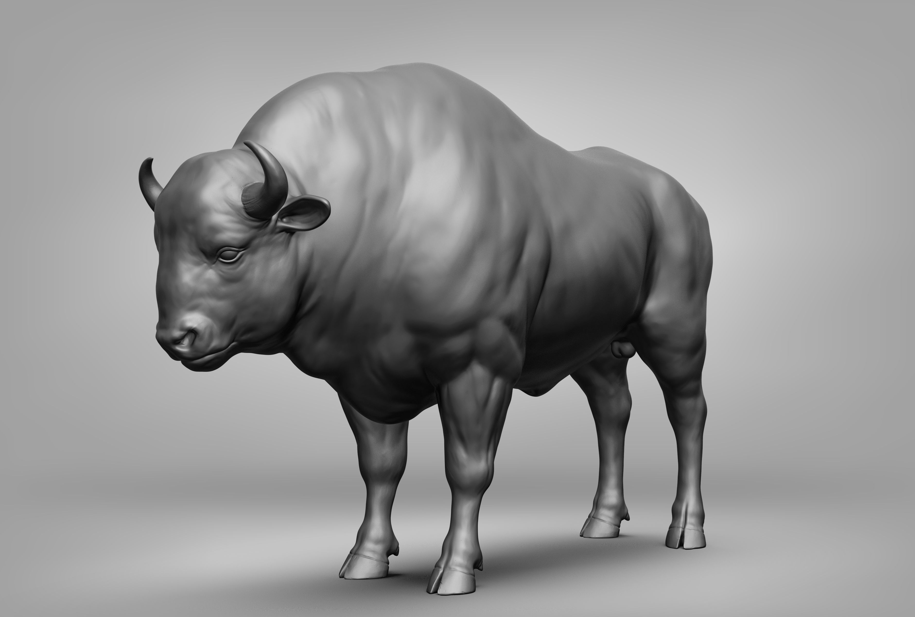 Wild animal collection 3D model_103