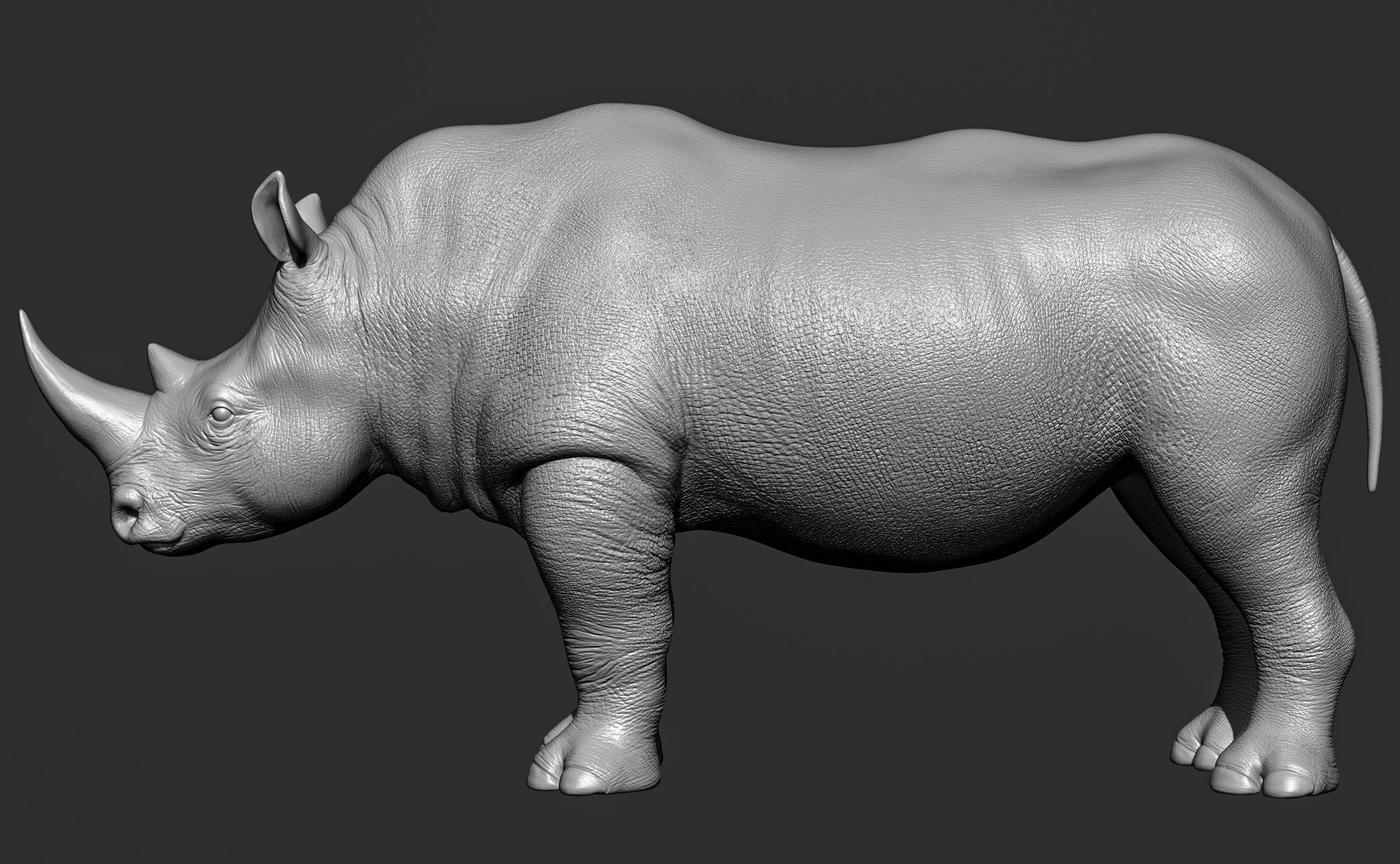 Wild animal collection 3D model_88