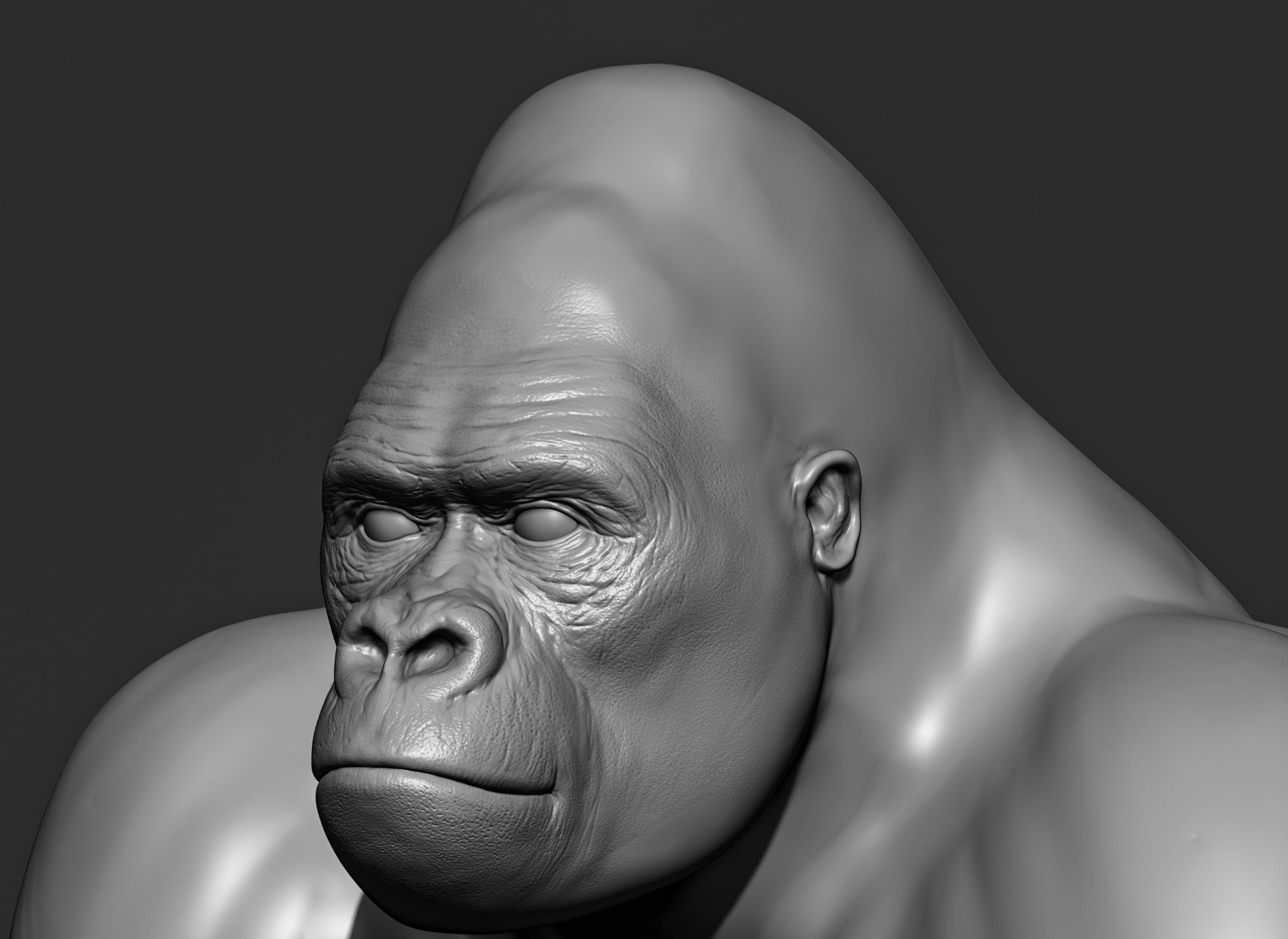 Wild animal collection 3D model_101