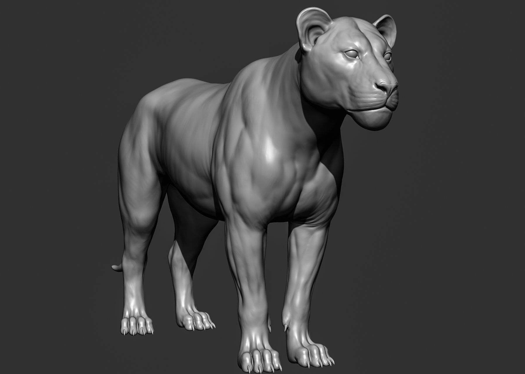 Wild animal collection 3D model_41