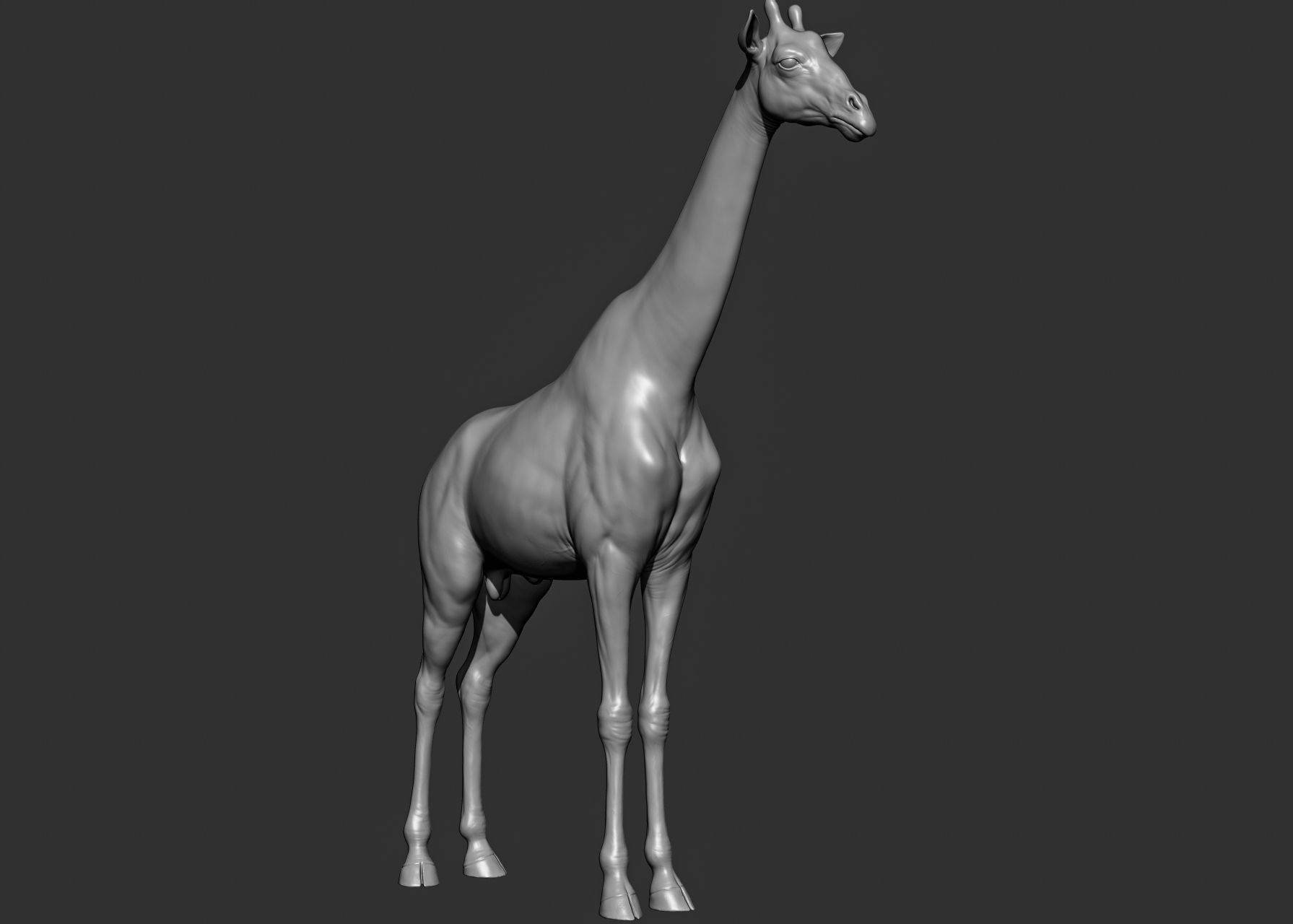 Wild animal collection 3D model_62