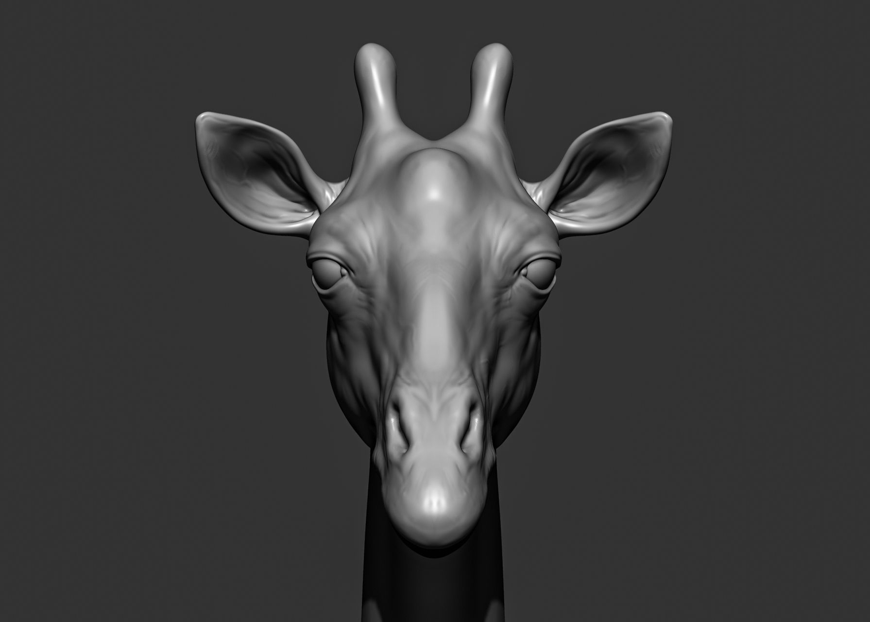 Wild animal collection 3D model_71