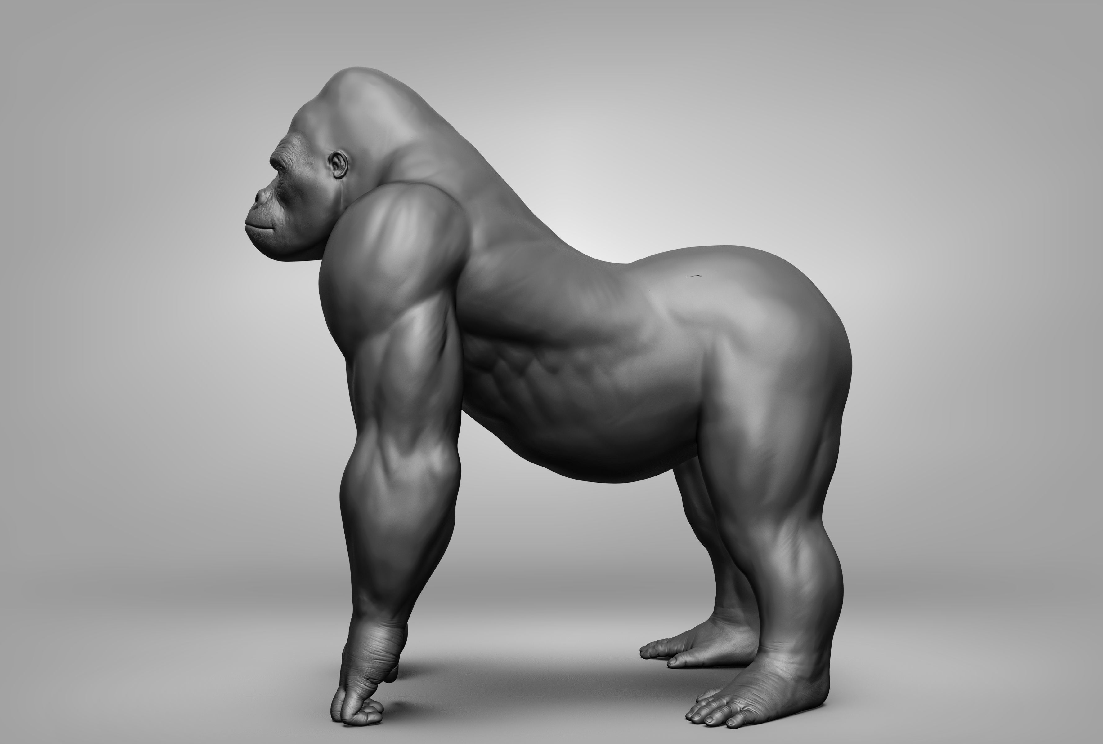 Wild animal collection 3D model_91