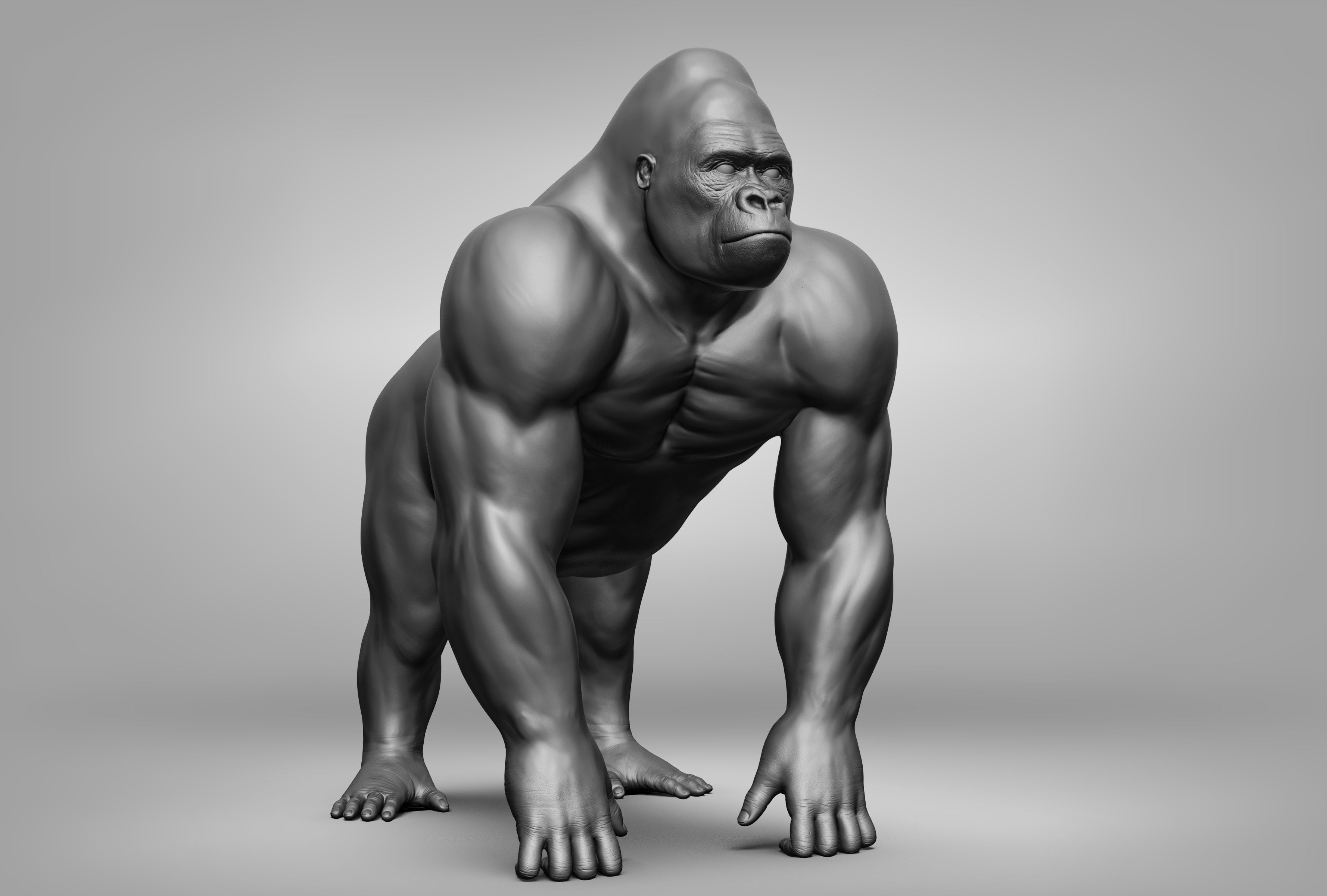 Wild animal collection 3D model_94