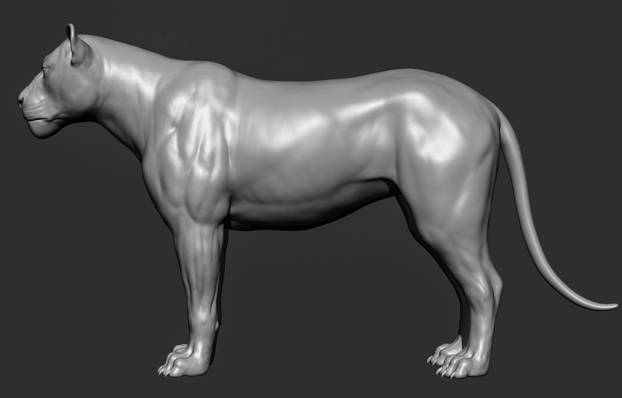 Wild animal collection 3D model_40