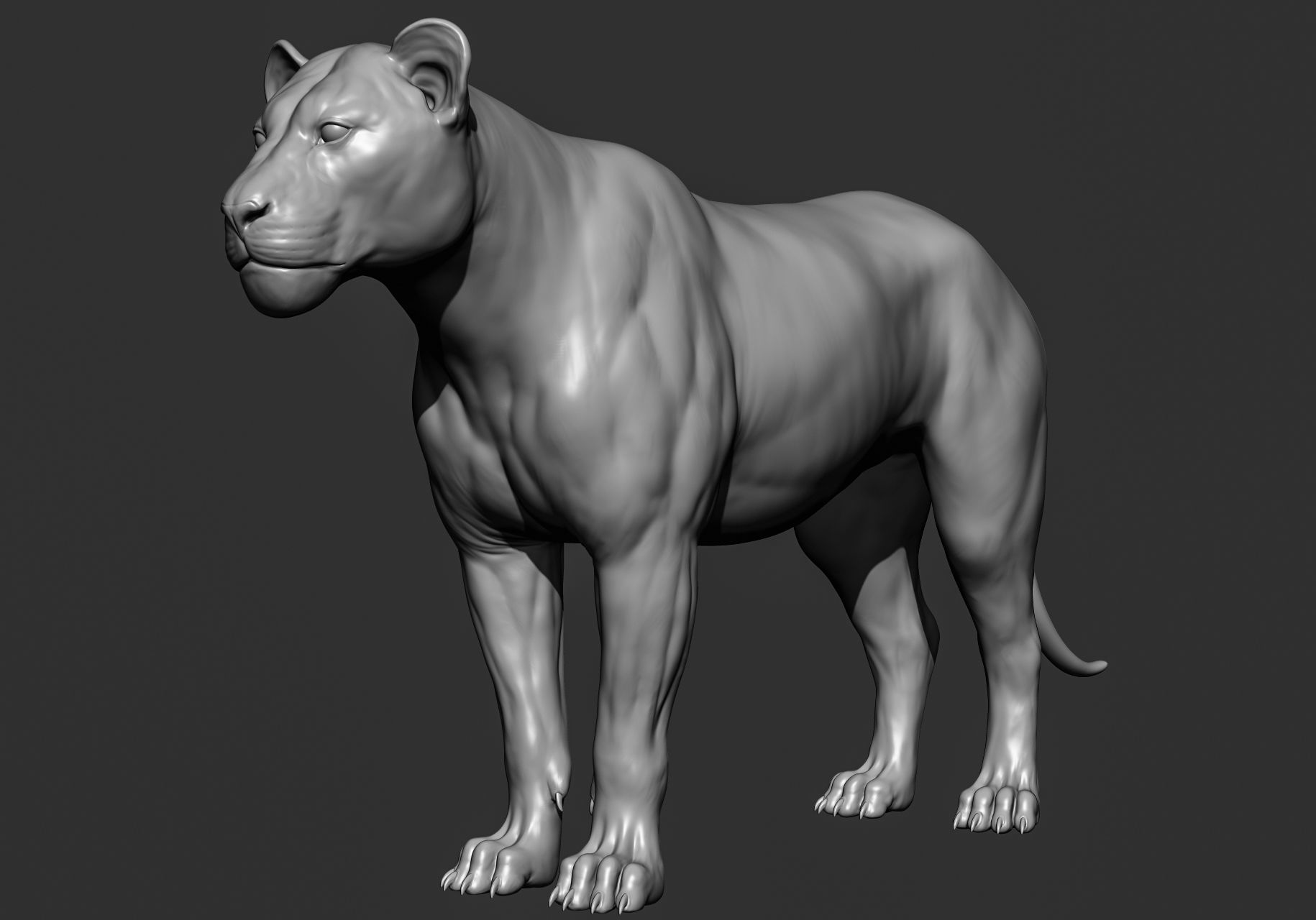 Wild animal collection 3D model_39