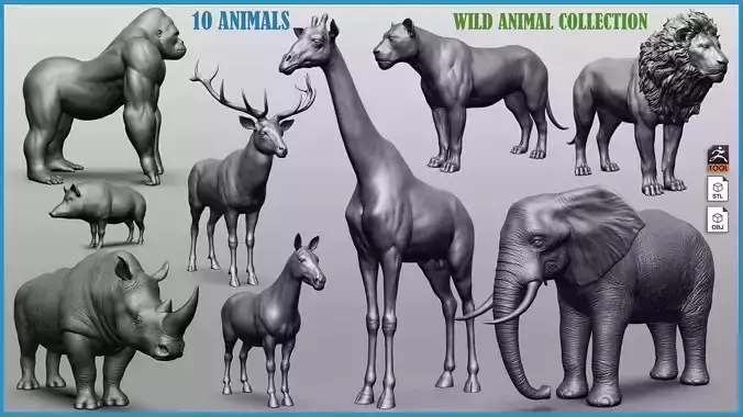 Wild animal collection 3D model