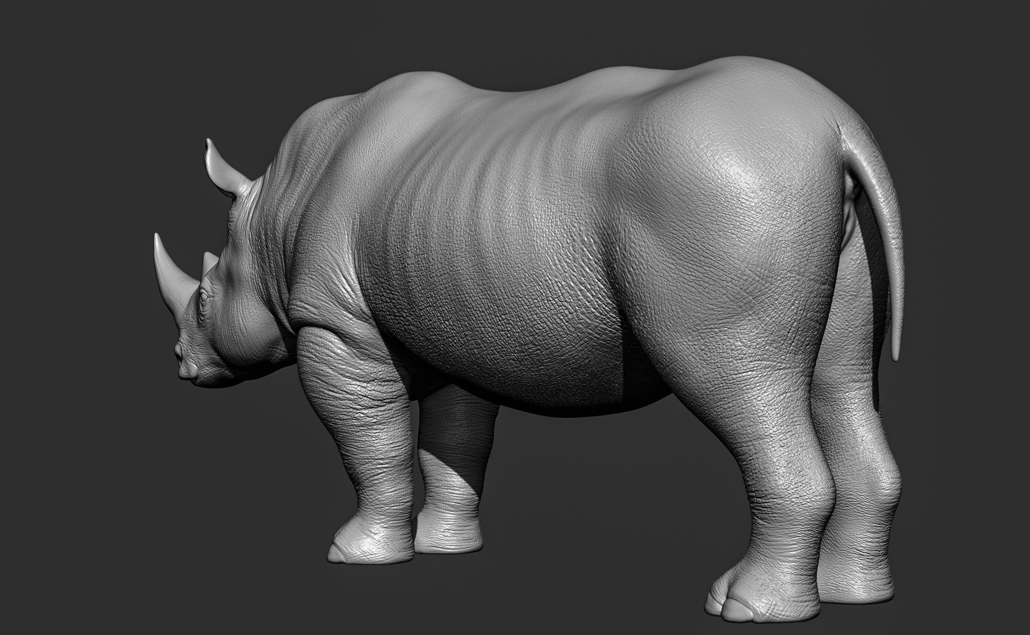 Wild animal collection 3D model_85