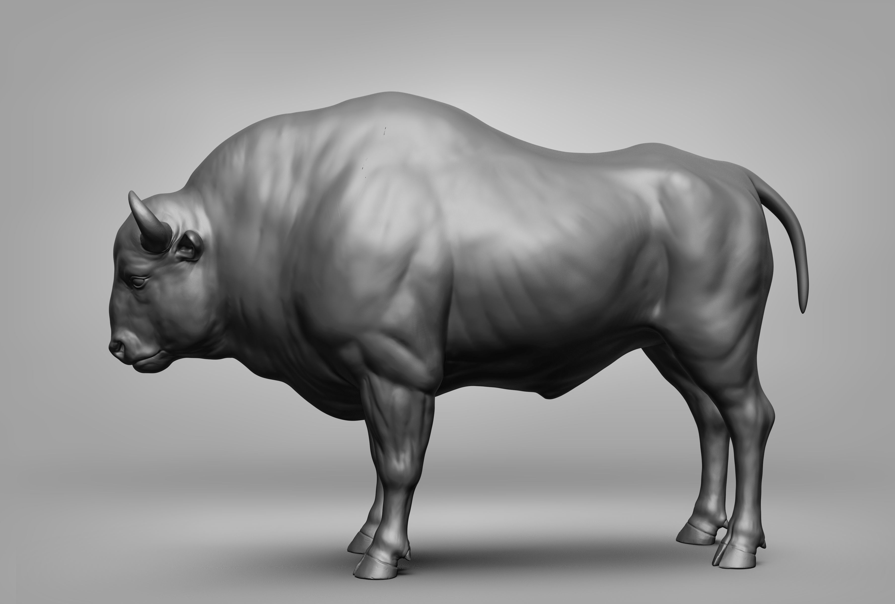 Wild animal collection 3D model_104