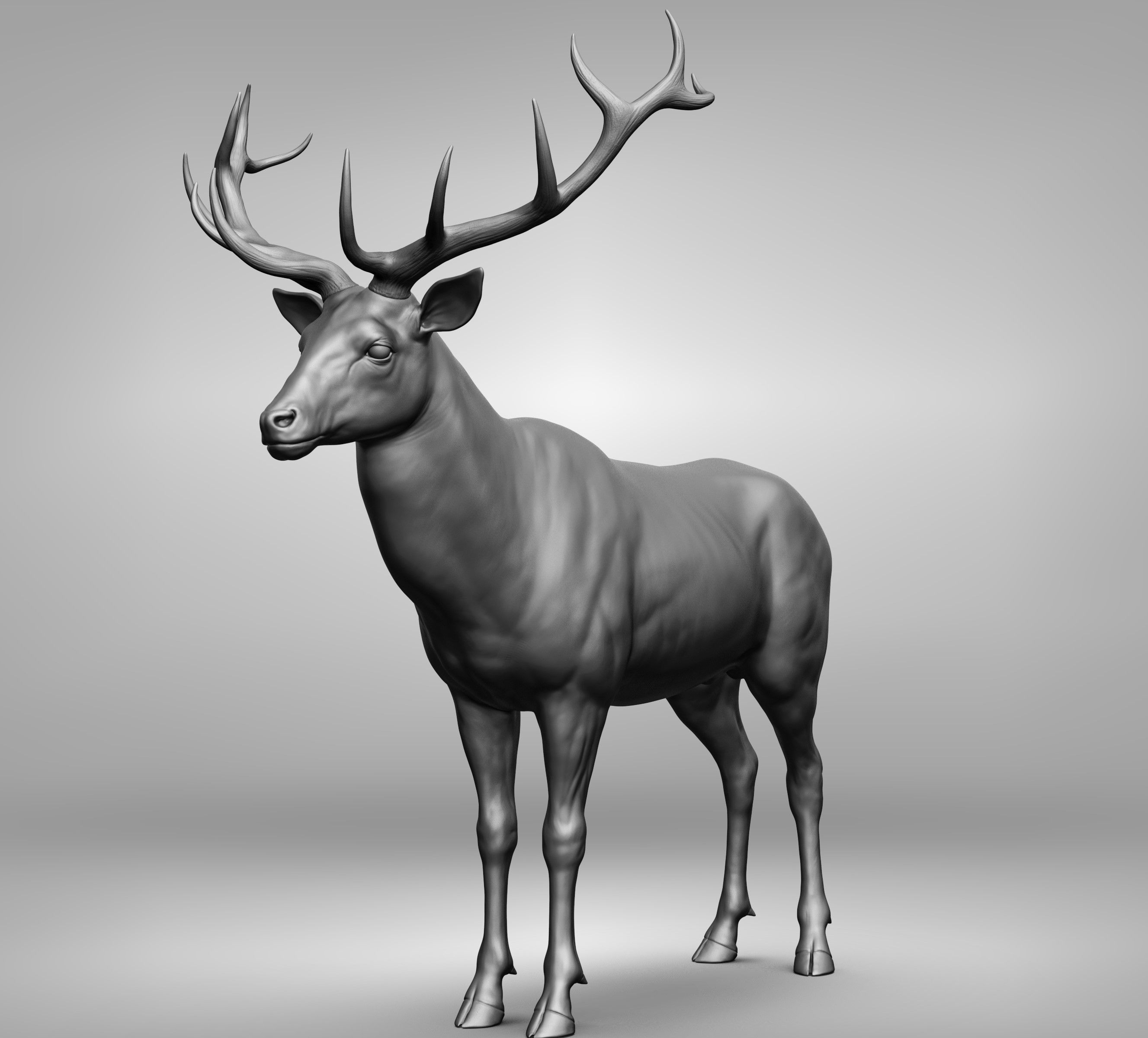 Wild animal collection 3D model_123