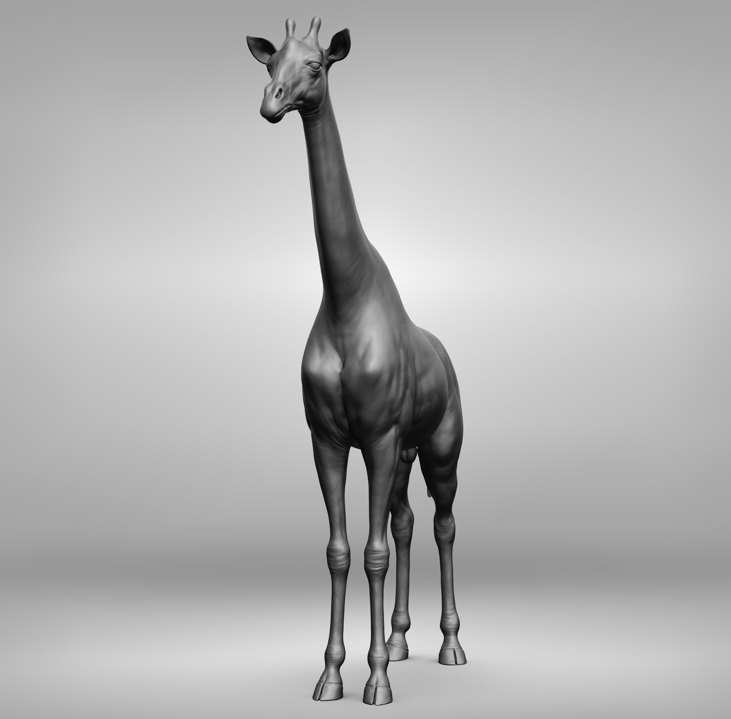Wild animal collection 3D model_48
