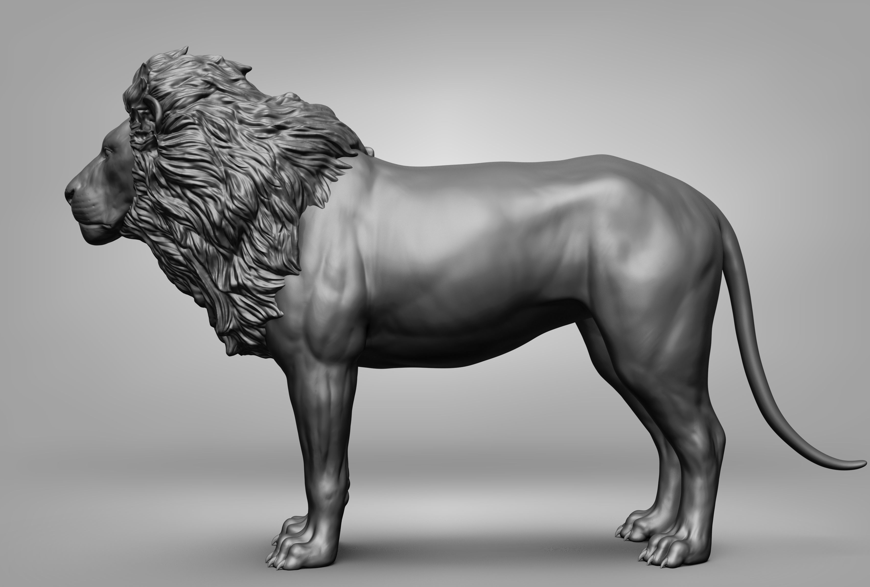 Wild animal collection 3D model_18
