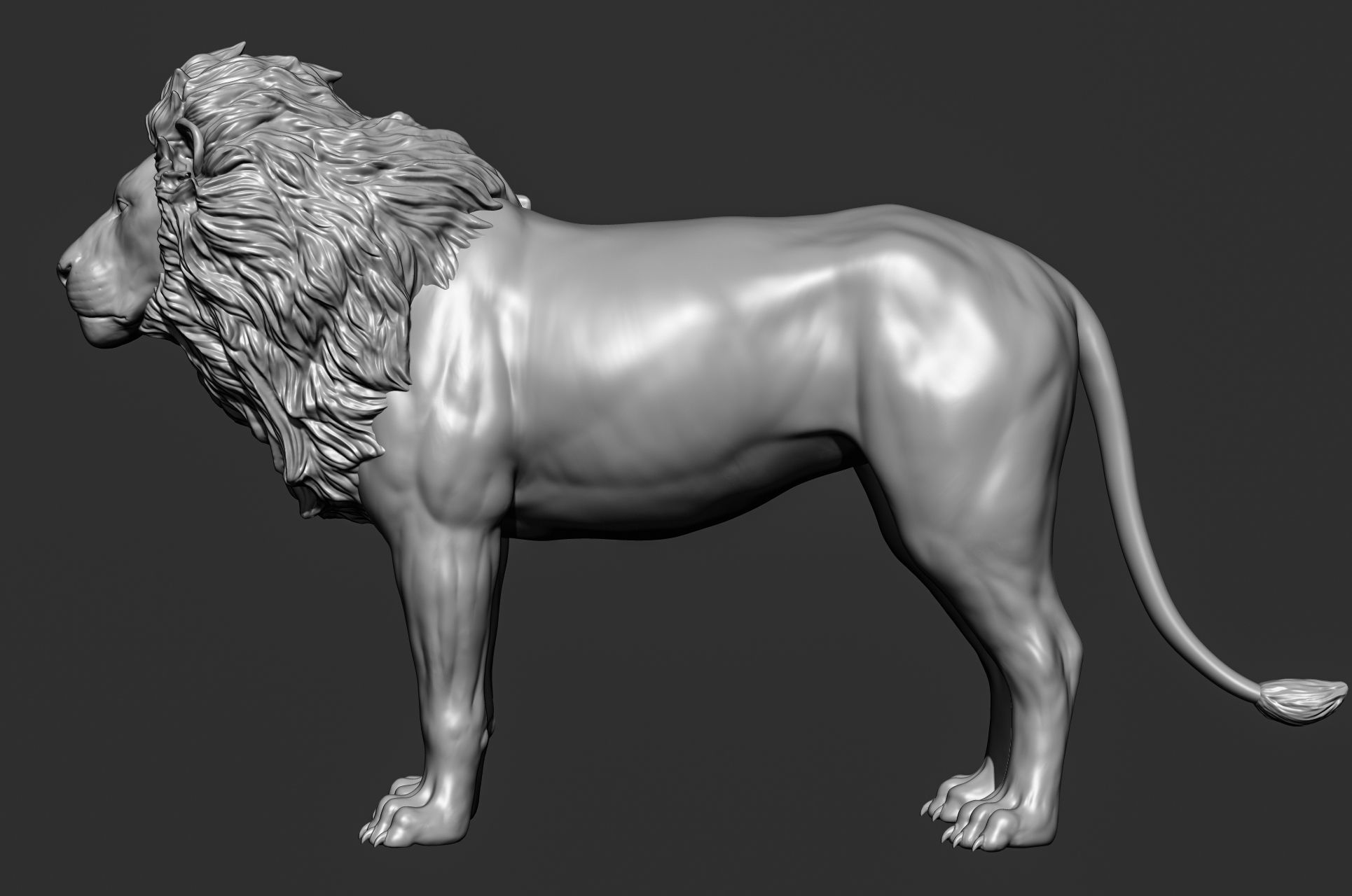 Wild animal collection 3D model_26