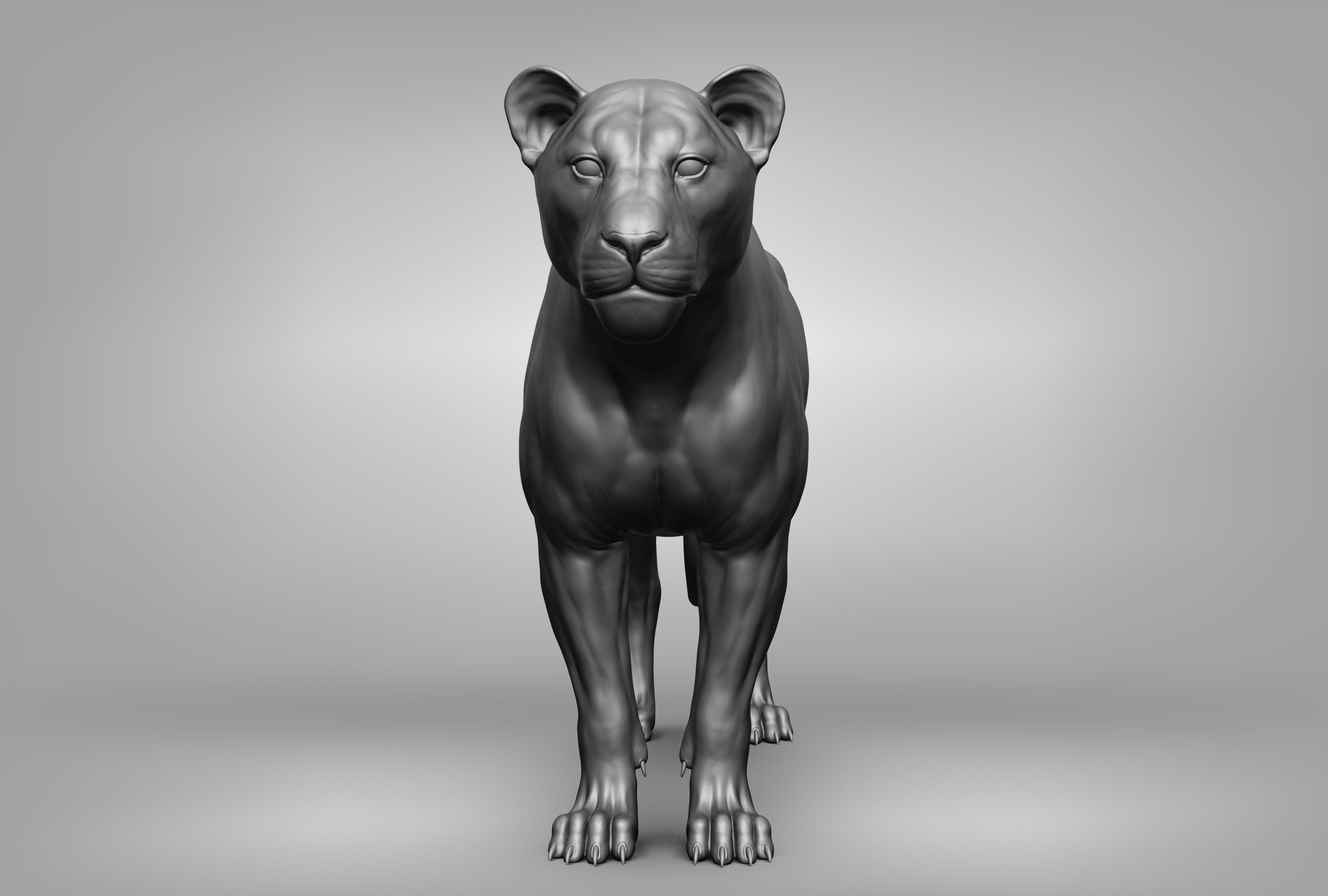 Wild animal collection 3D model_38