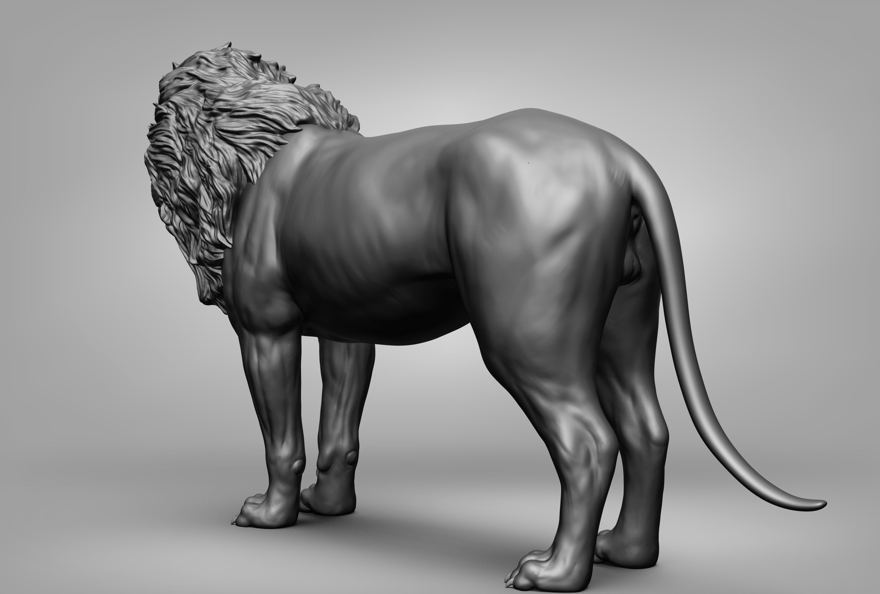 Wild animal collection 3D model_19
