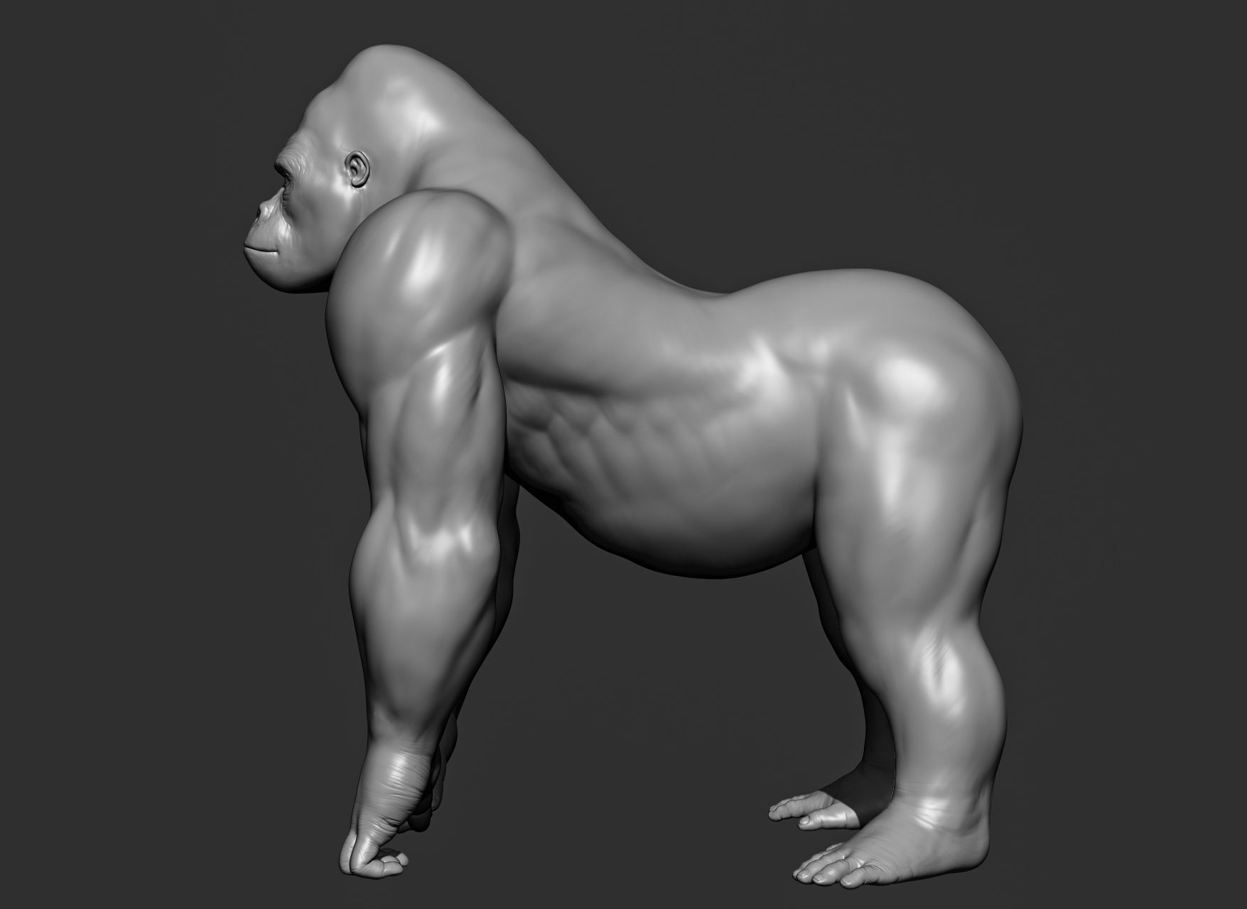 Wild animal collection 3D model_98