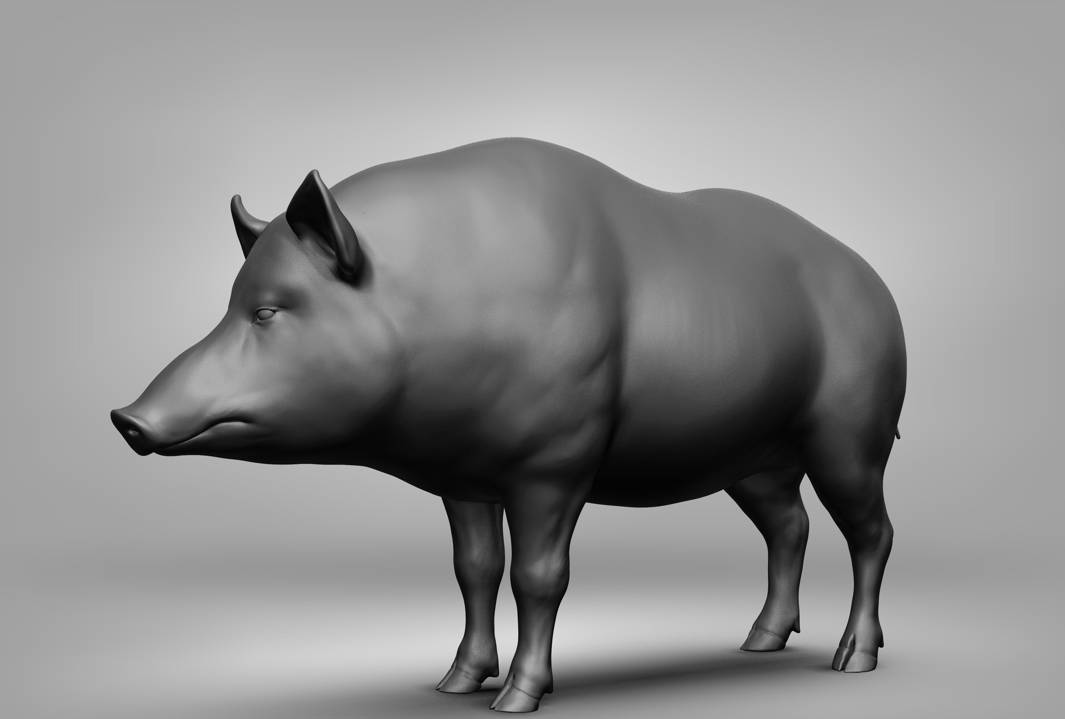 Wild animal collection 3D model_141