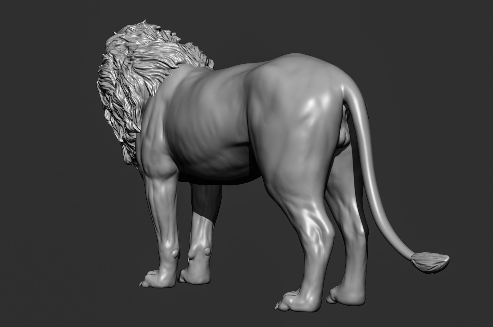 Wild animal collection 3D model_27