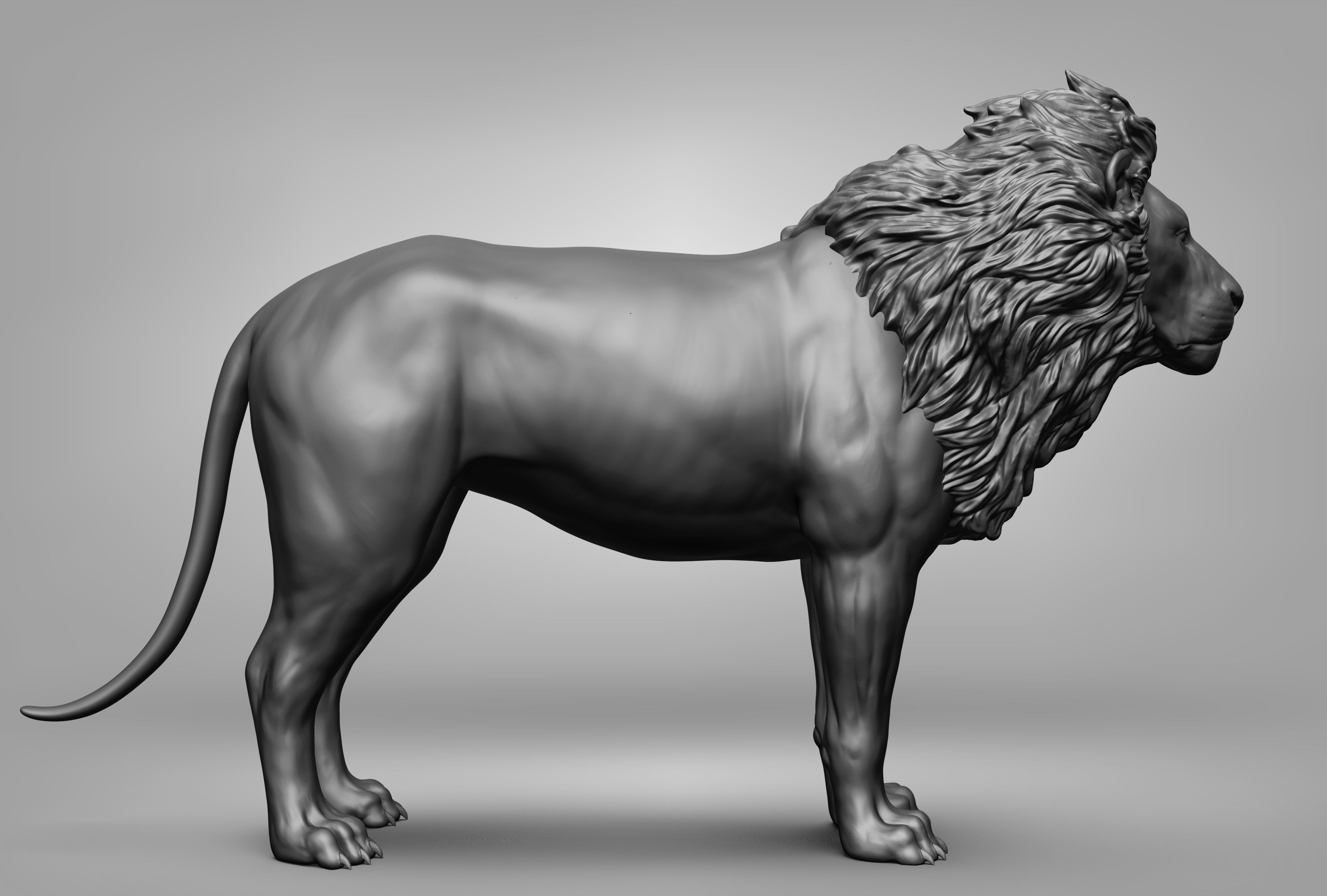 Wild animal collection 3D model_20