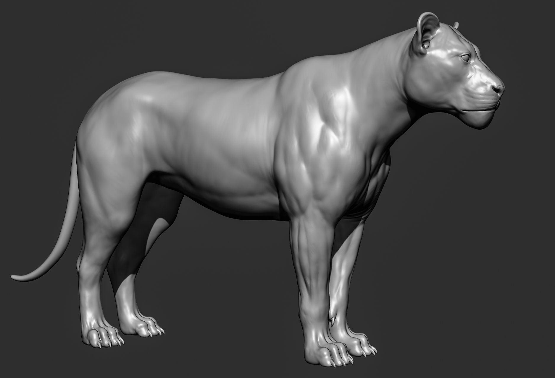 Wild animal collection 3D model_43