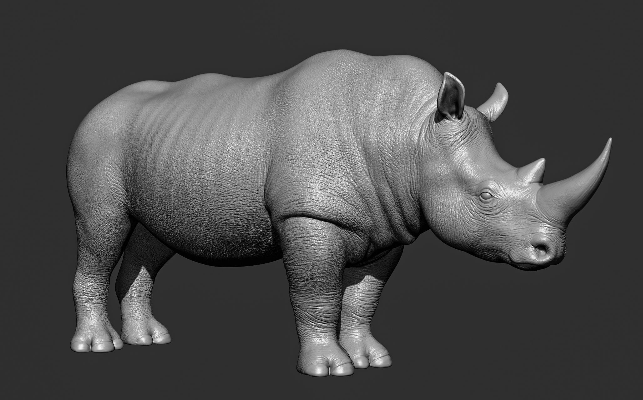 Wild animal collection 3D model_80