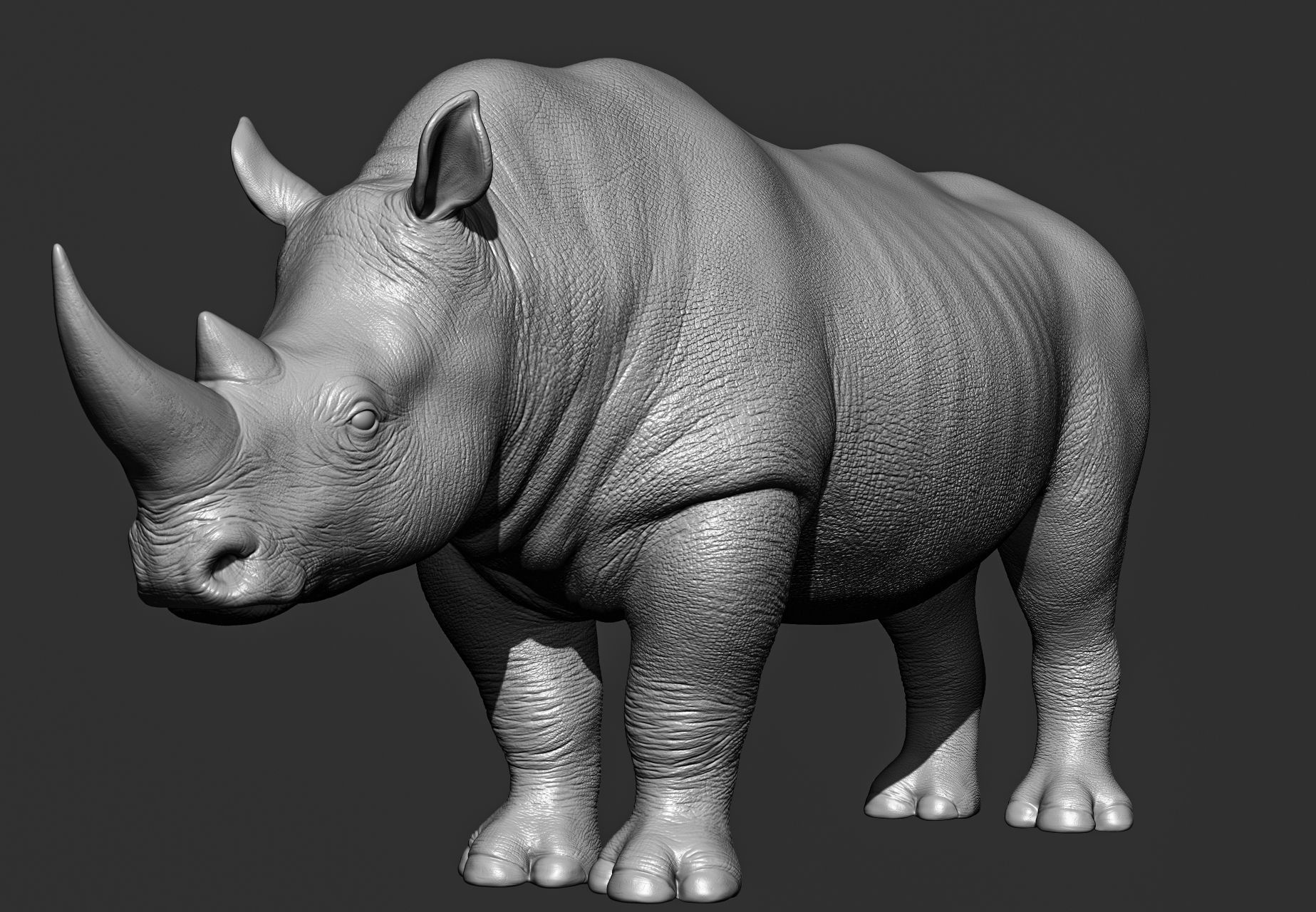 Wild animal collection 3D model_81