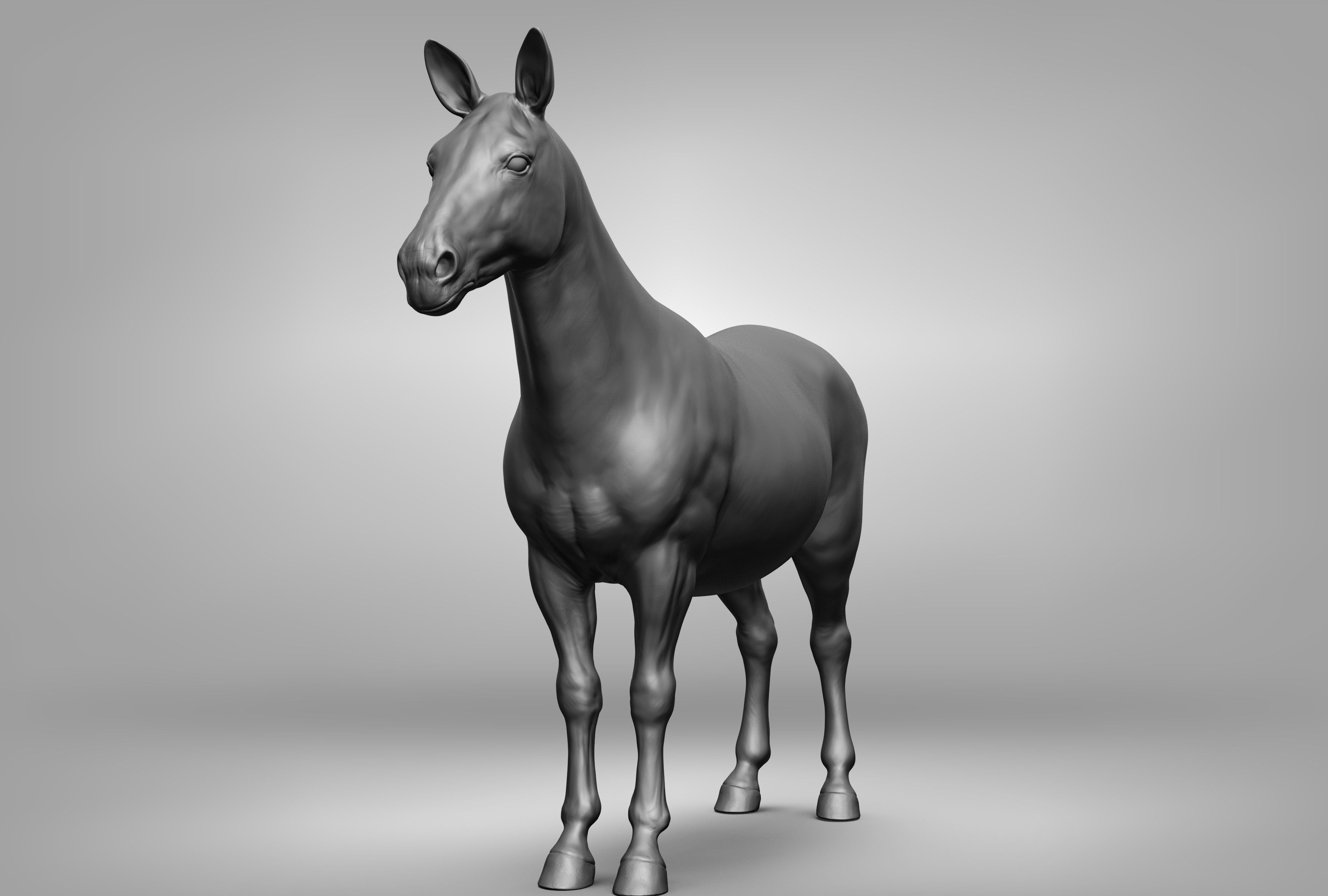 Wild animal collection 3D model_115