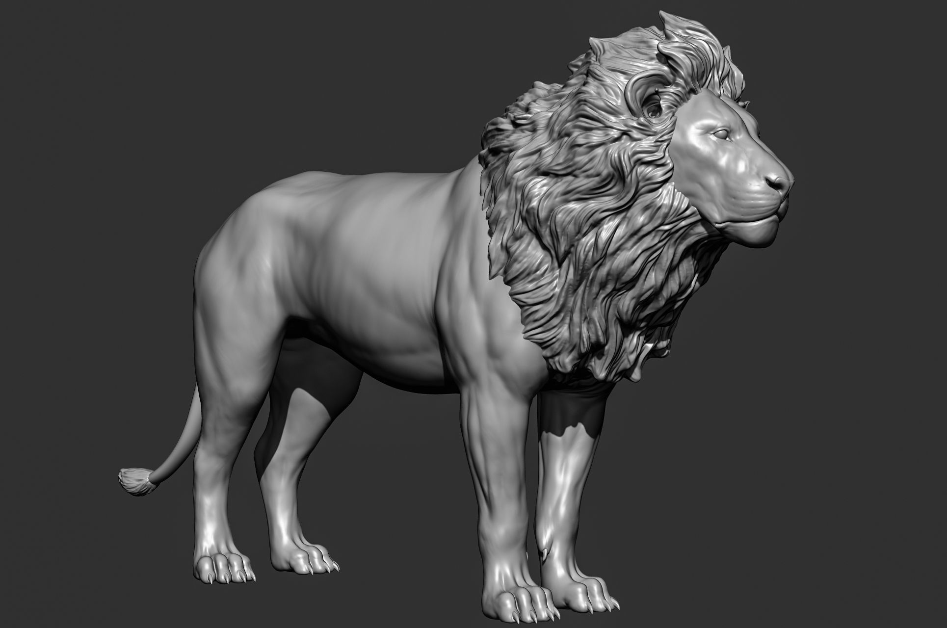 Wild animal collection 3D model_28