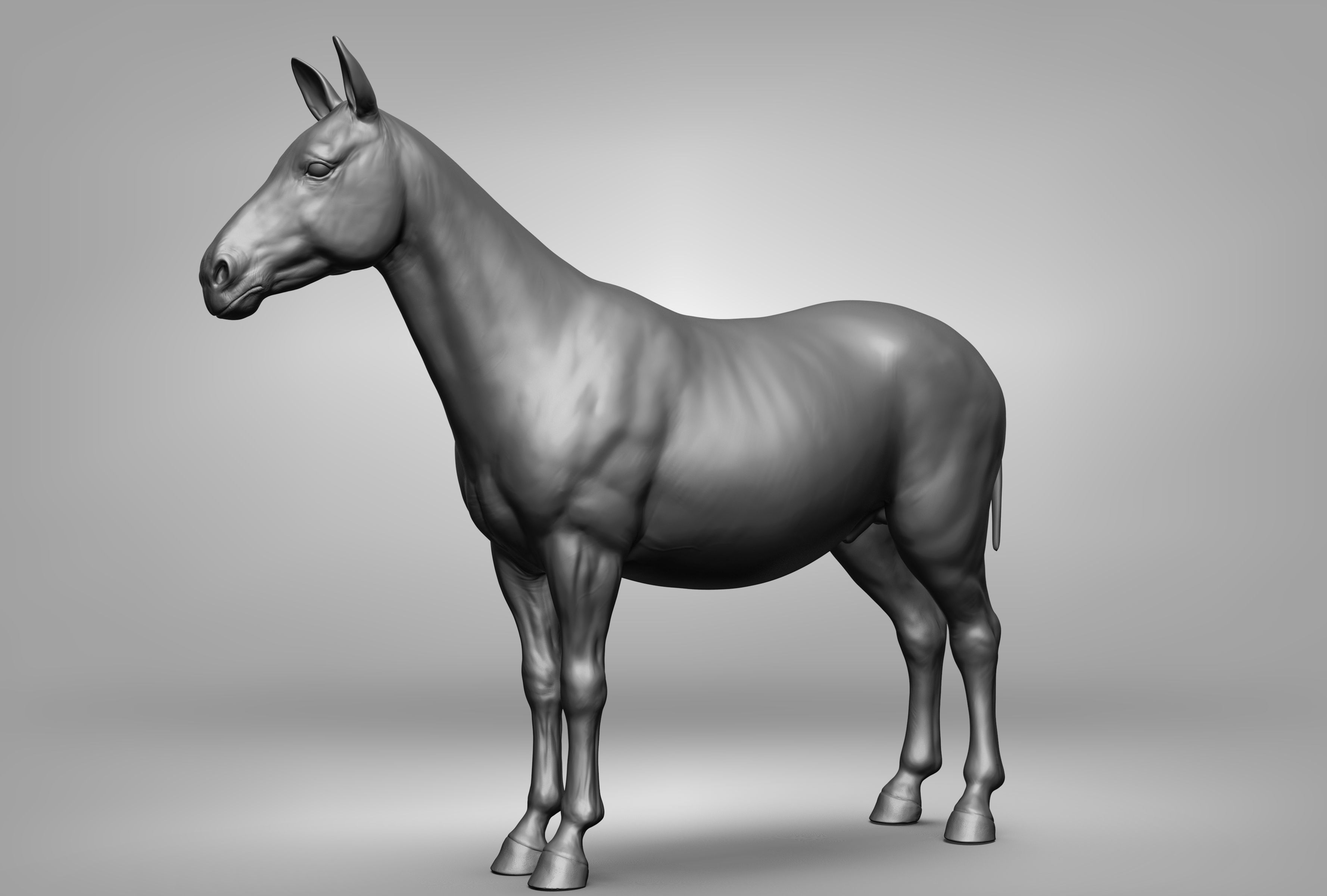 Wild animal collection 3D model_114