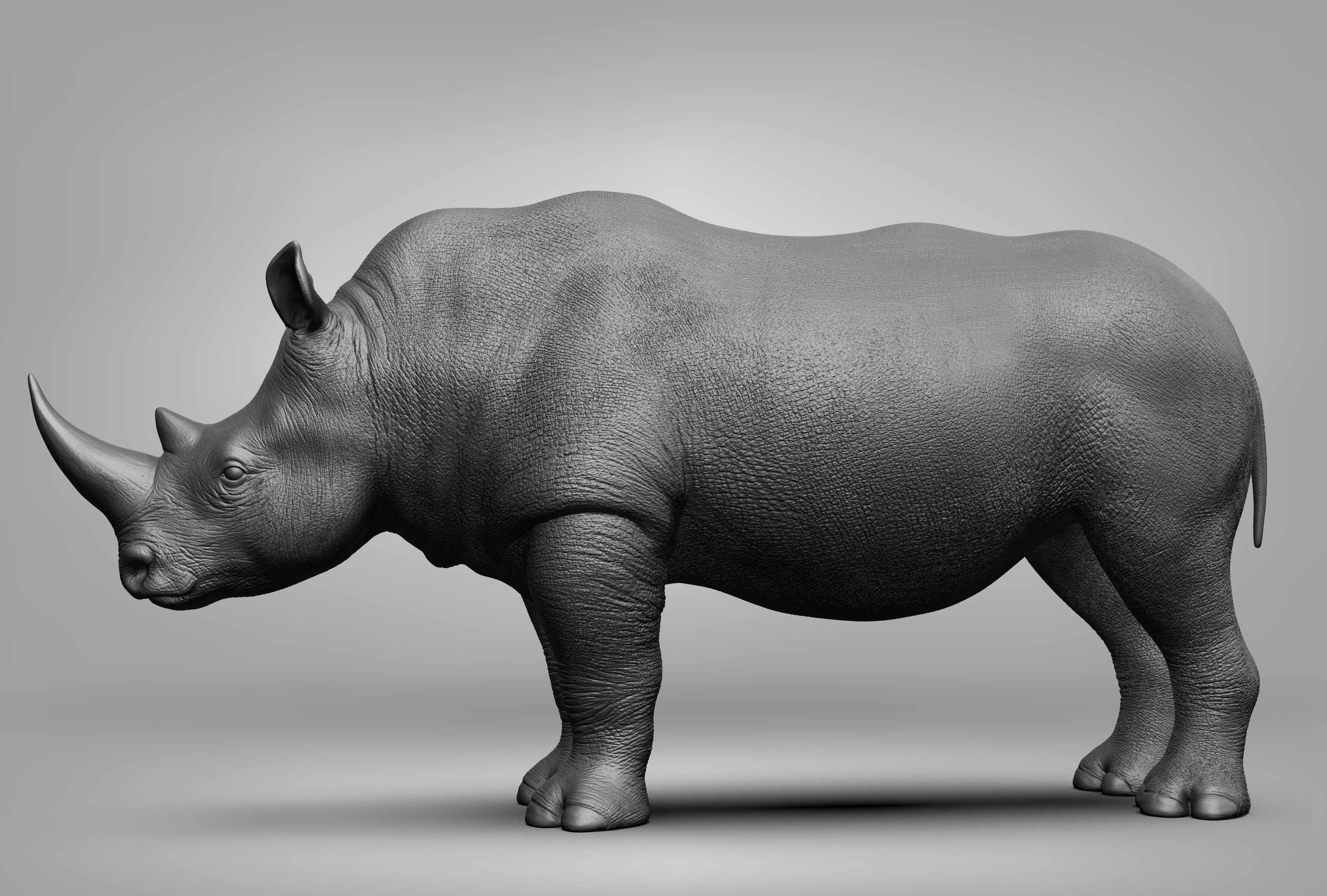 Wild animal collection 3D model_74