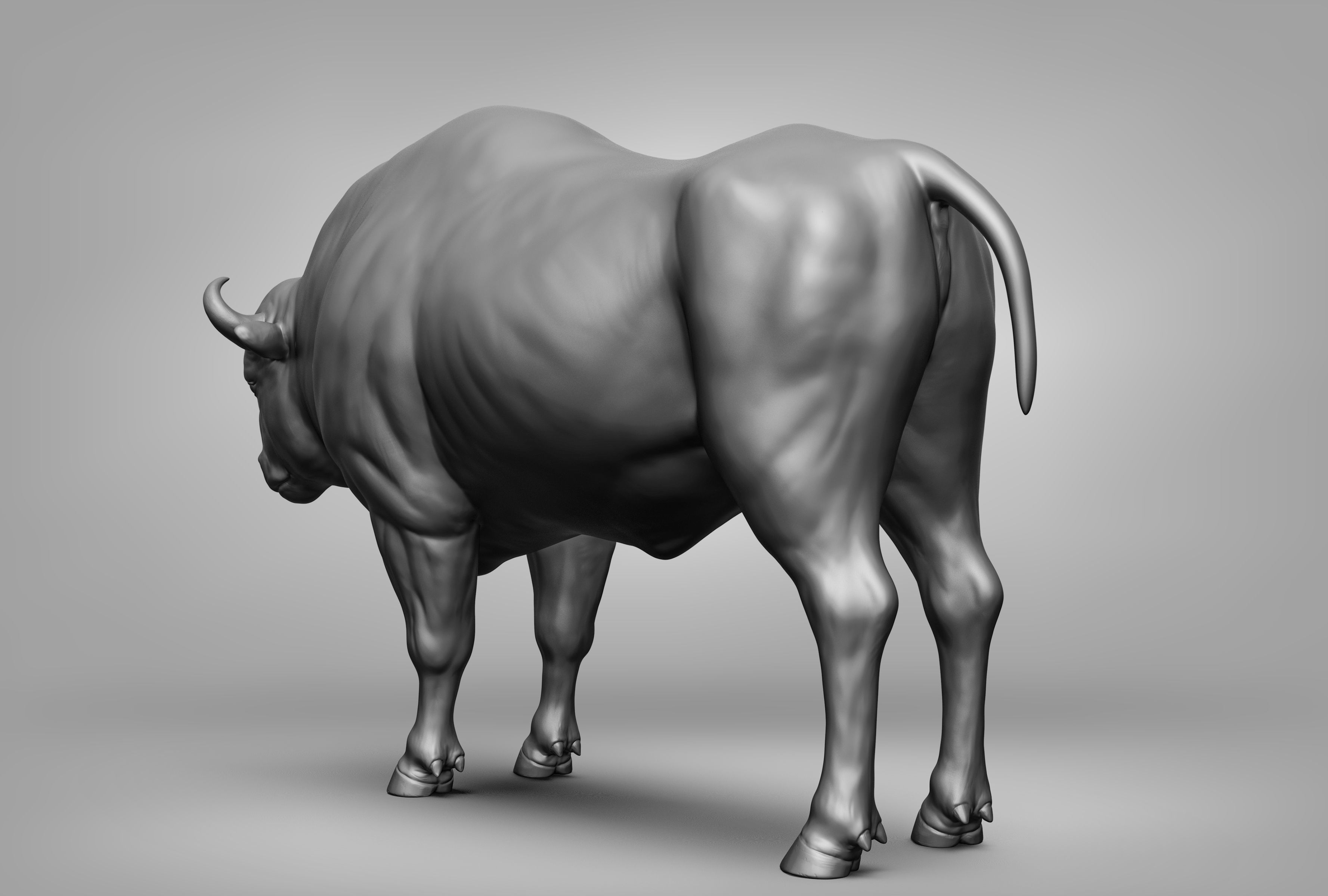 Wild animal collection 3D model_105