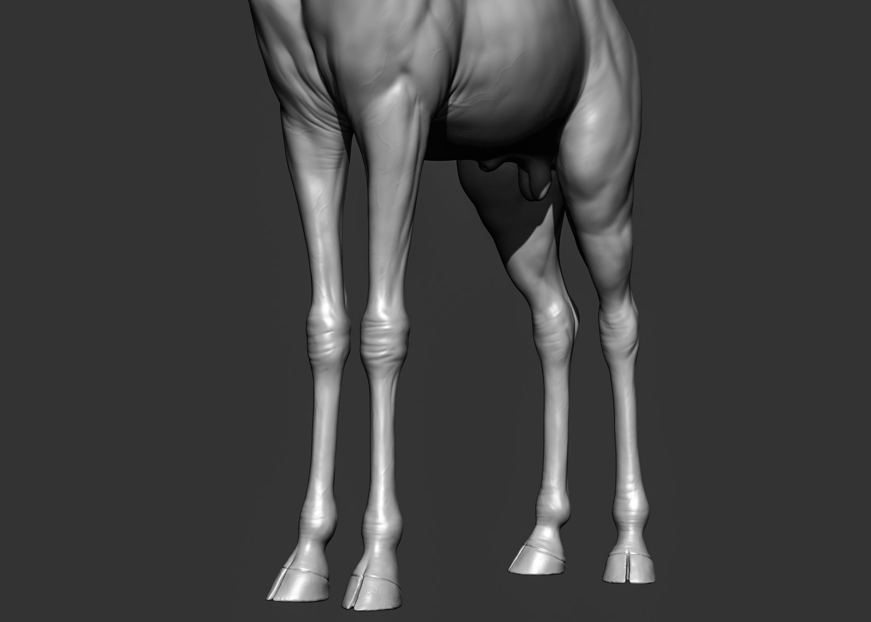 Wild animal collection 3D model_70