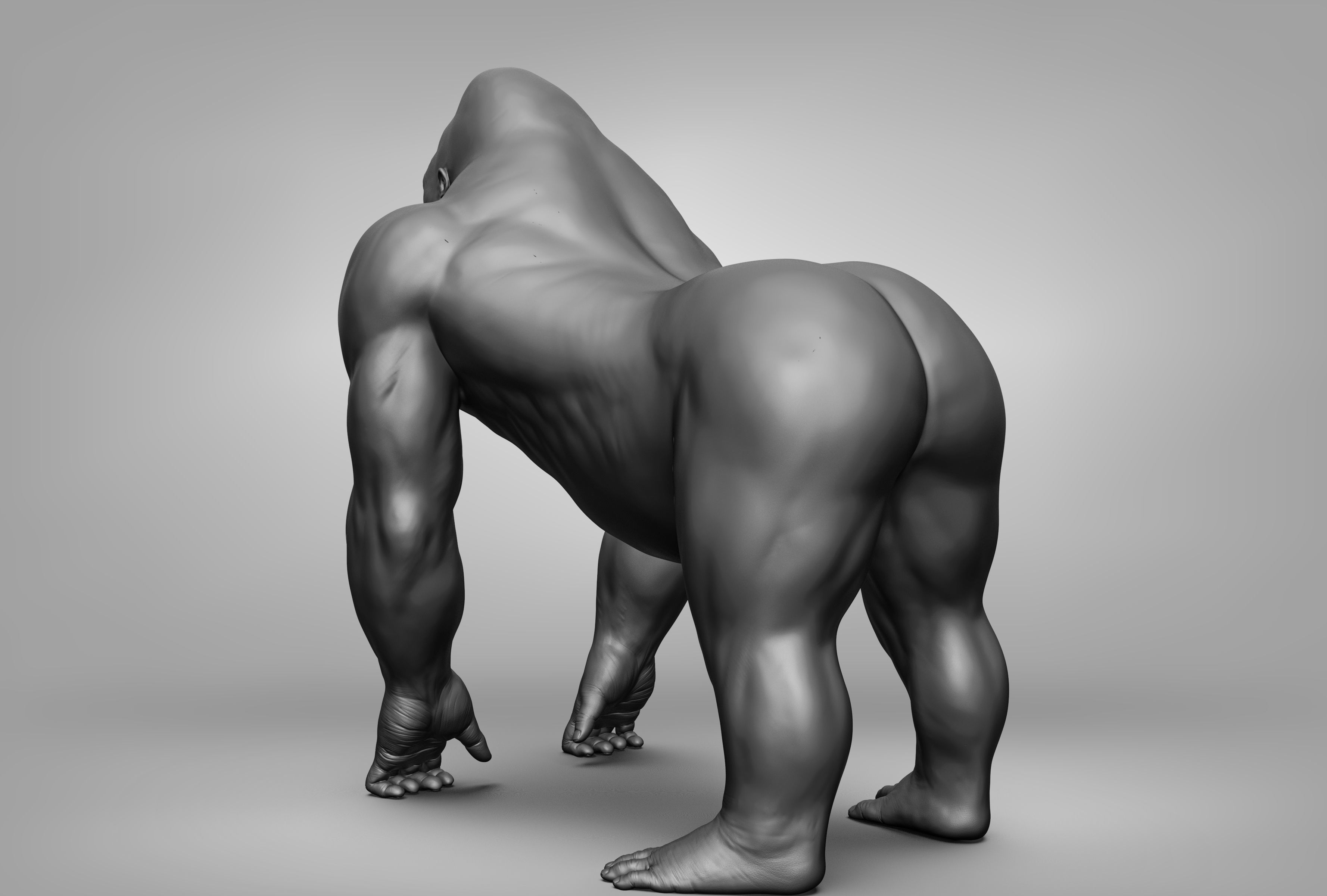 Wild animal collection 3D model_92