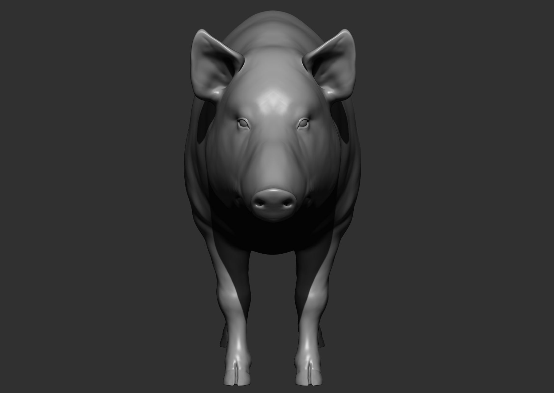 Wild animal collection 3D model_142