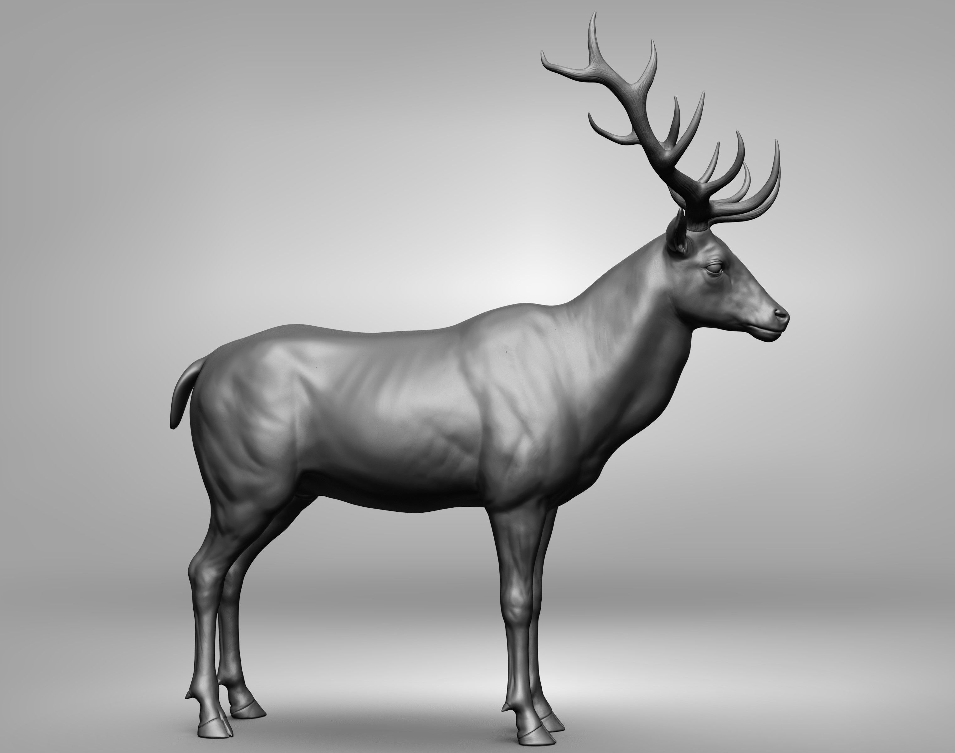 Wild animal collection 3D model_127