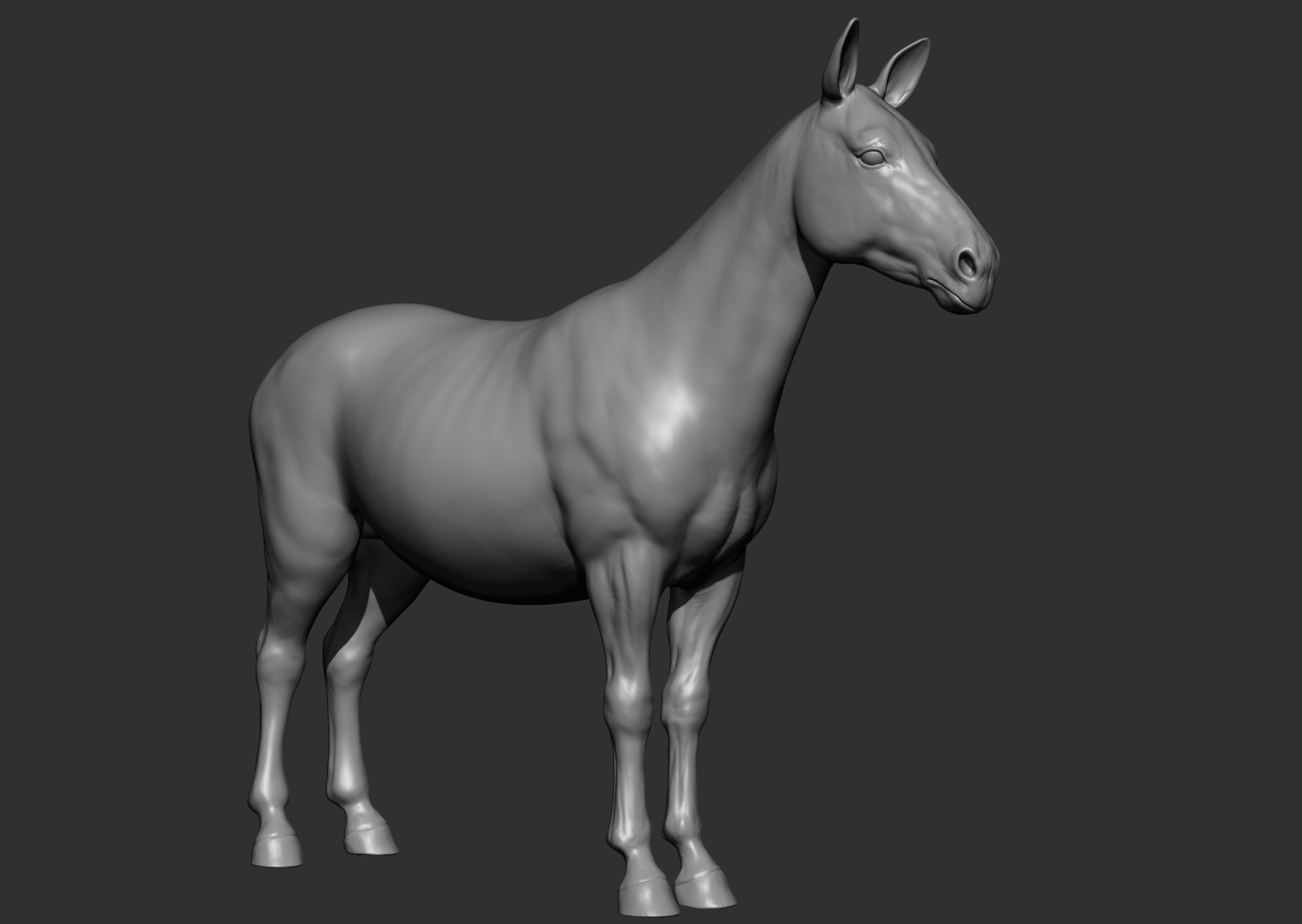 Wild animal collection 3D model_119