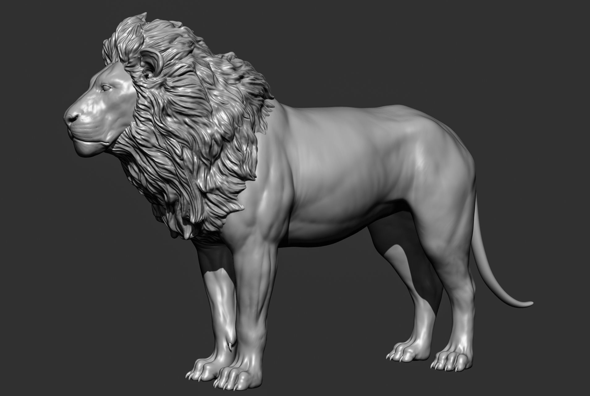 Wild animal collection 3D model_25