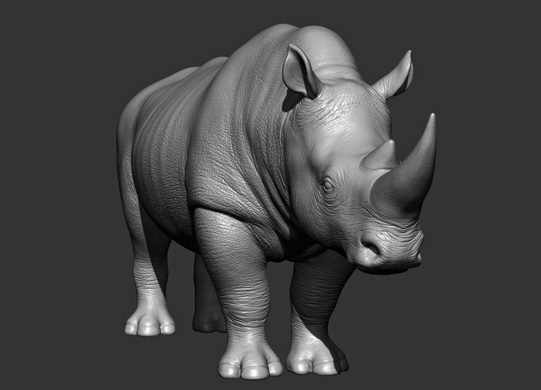 Wild animal collection 3D model_82