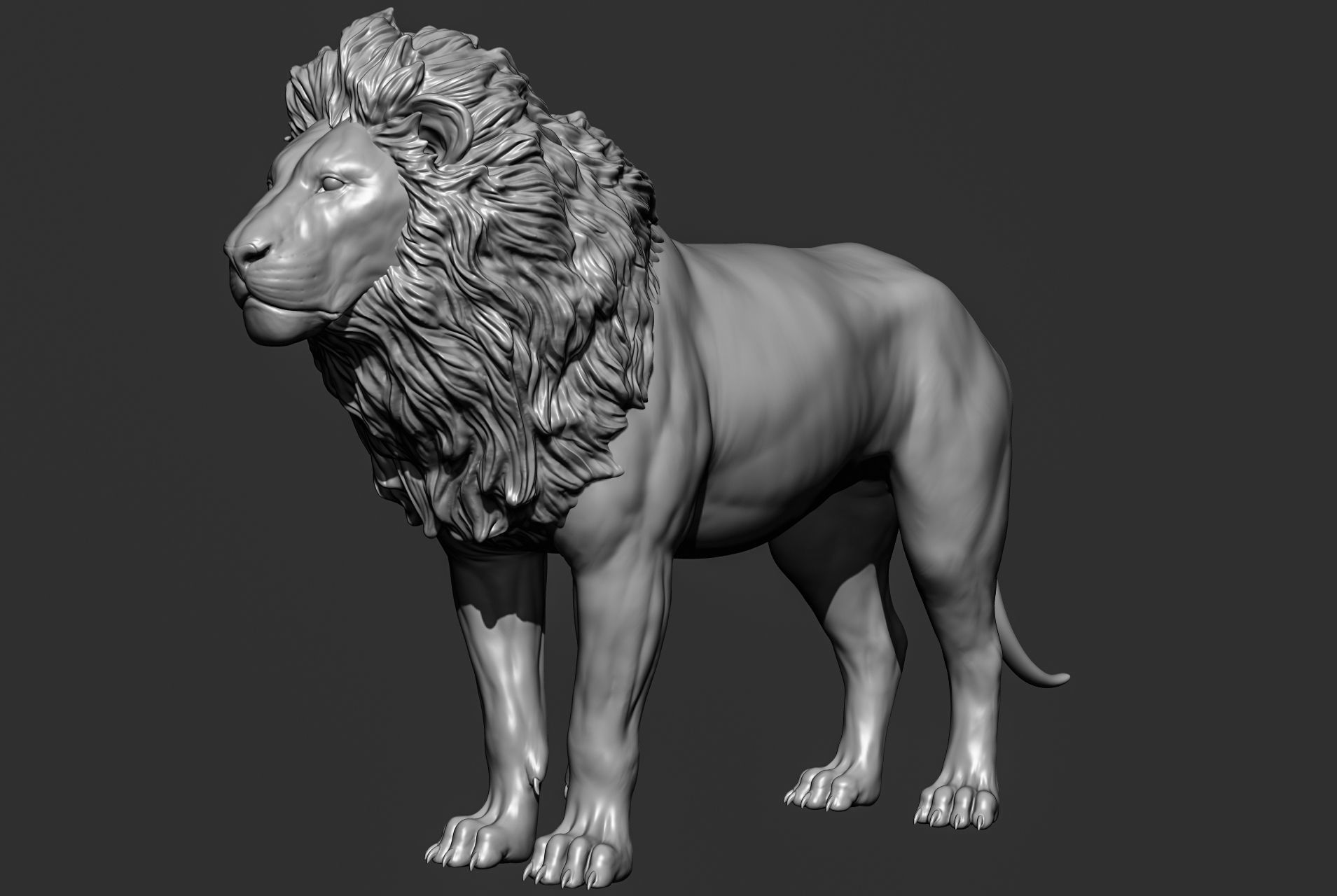 Wild animal collection 3D model_24